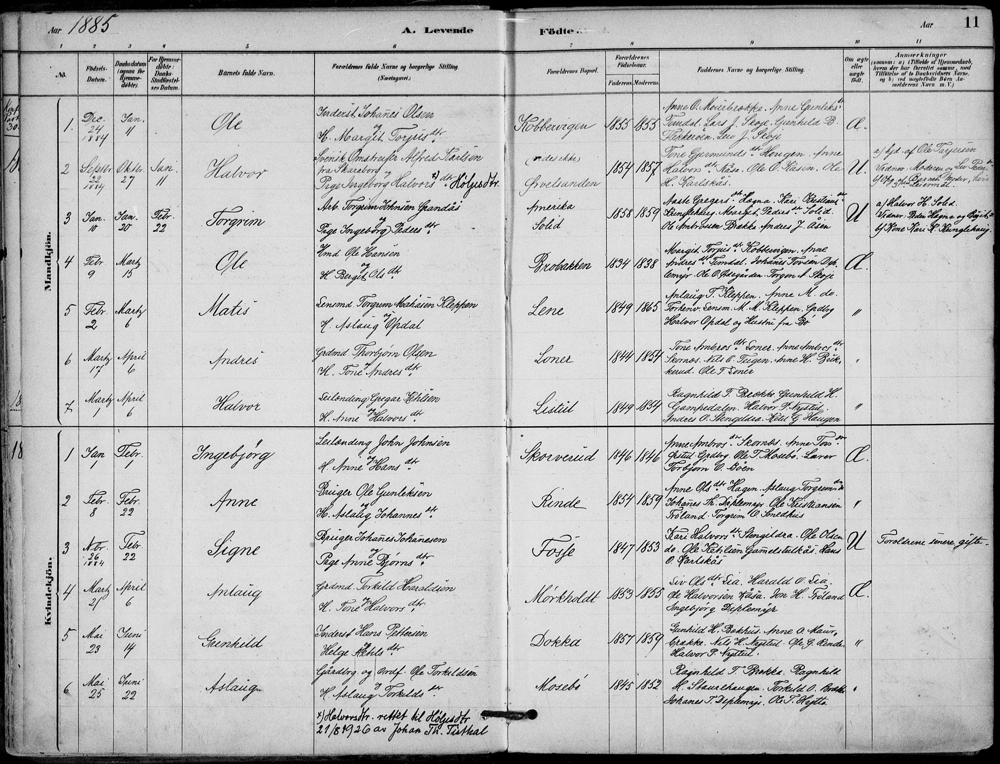 Hjartdal kirkebøker, SAKO/A-270/F/Fb/L0002: Parish register (official) no. II 2, 1880-1932, p. 11