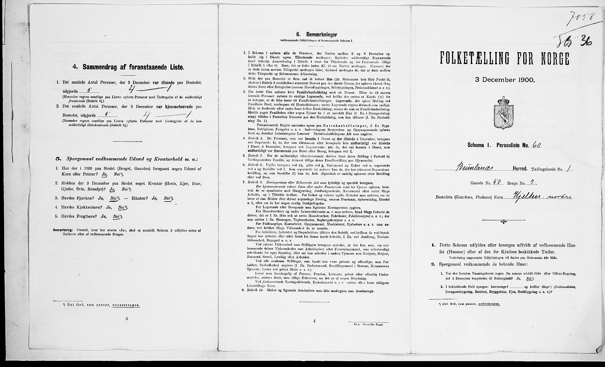 RA, 1900 census for Brunlanes, 1900, p. 38