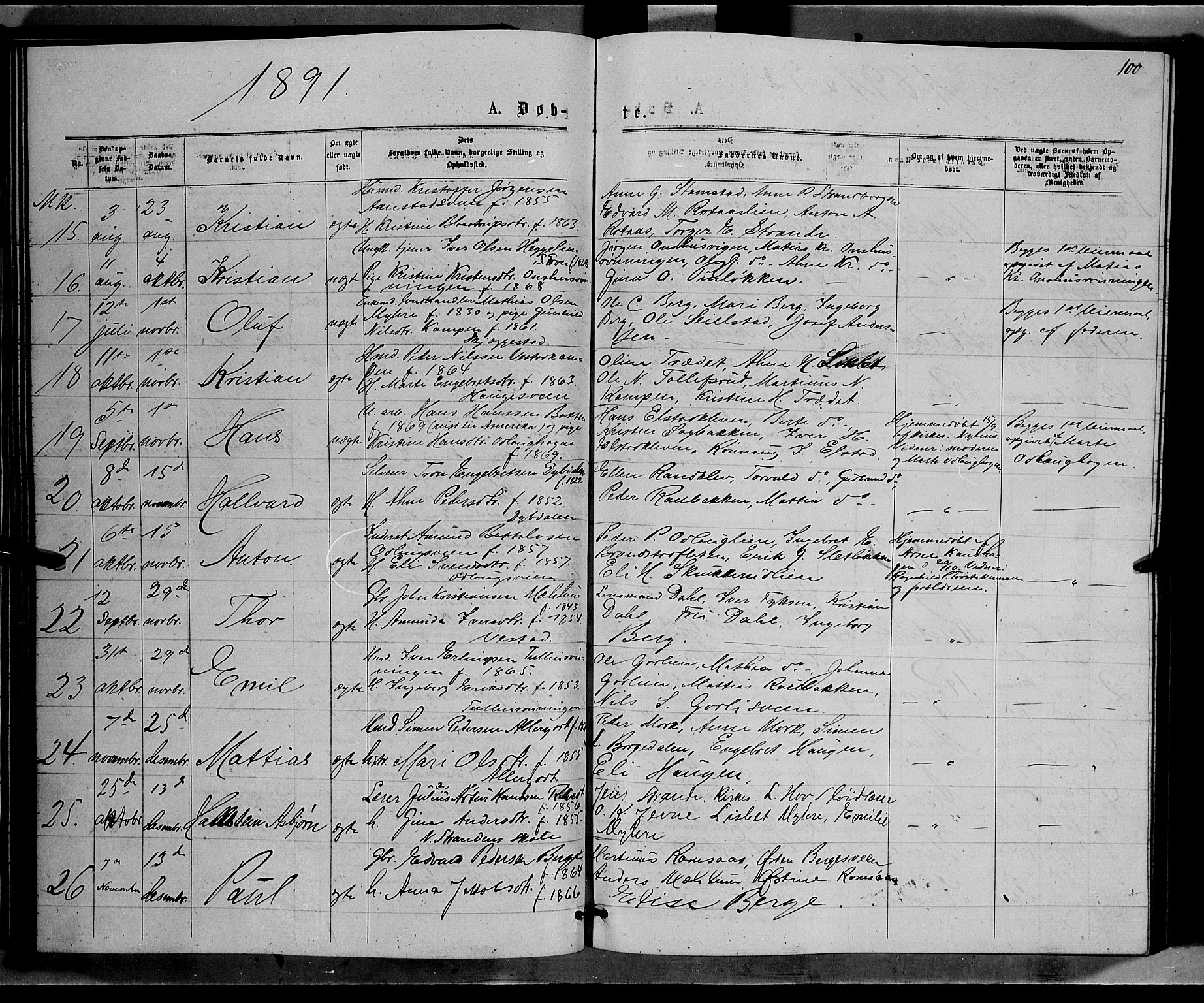 Ringebu prestekontor, SAH/PREST-082/H/Ha/Hab/L0006: Parish register (copy) no. 6, 1880-1898, p. 100