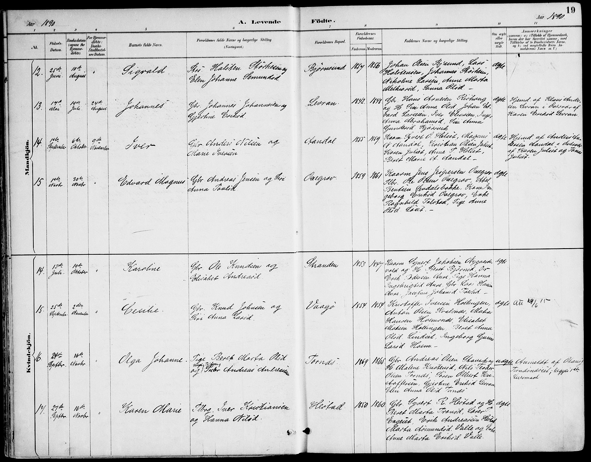 Ministerialprotokoller, klokkerbøker og fødselsregistre - Møre og Romsdal, AV/SAT-A-1454/565/L0750: Parish register (official) no. 565A04, 1887-1905, p. 19