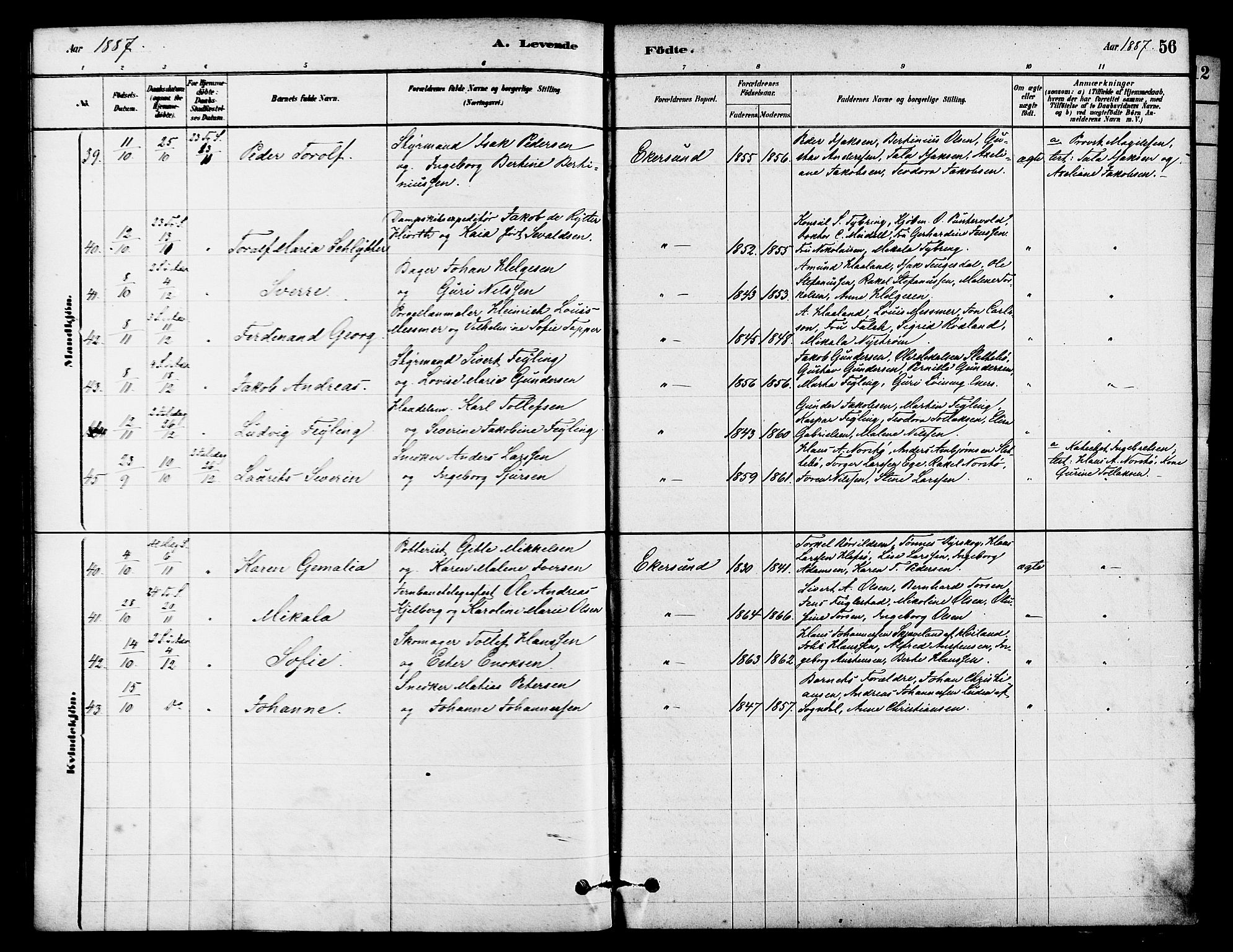 Eigersund sokneprestkontor, AV/SAST-A-101807/S08/L0015: Parish register (official) no. A 15, 1879-1892, p. 56