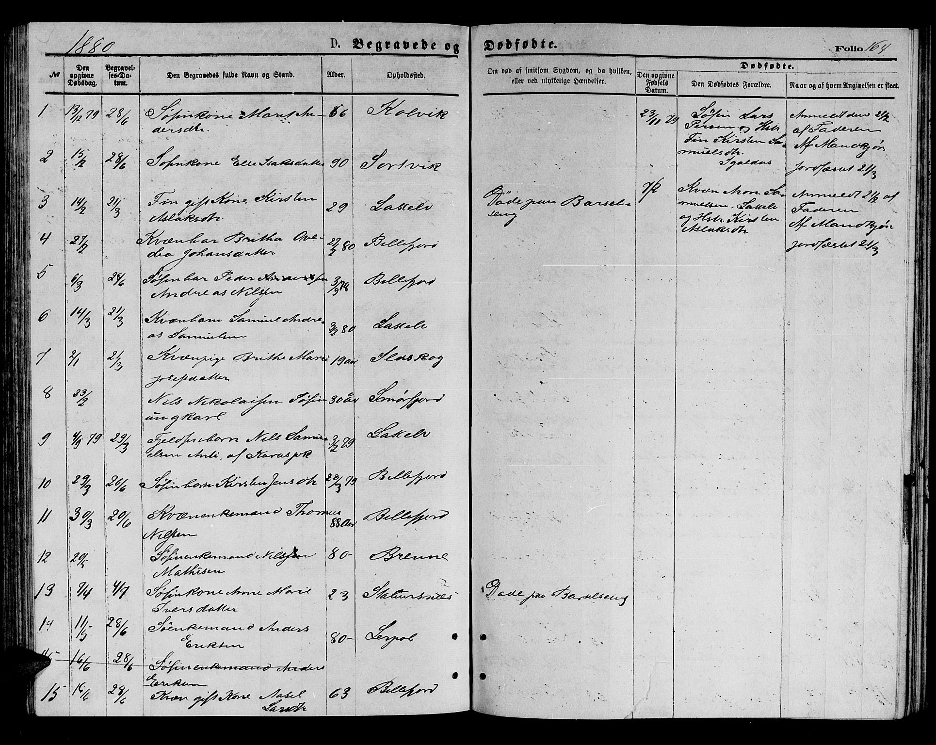 Kistrand/Porsanger sokneprestembete, AV/SATØ-S-1351/H/Hb/L0003.klokk: Parish register (copy) no. 3, 1874-1885, p. 164