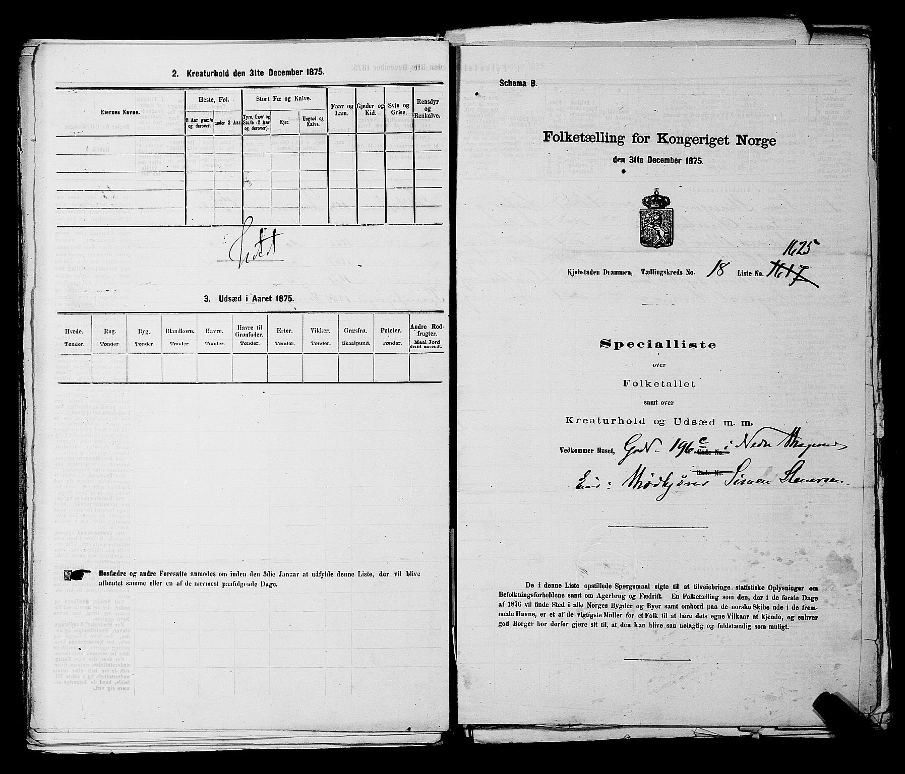 SAKO, 1875 census for 0602 Drammen, 1875, p. 2016