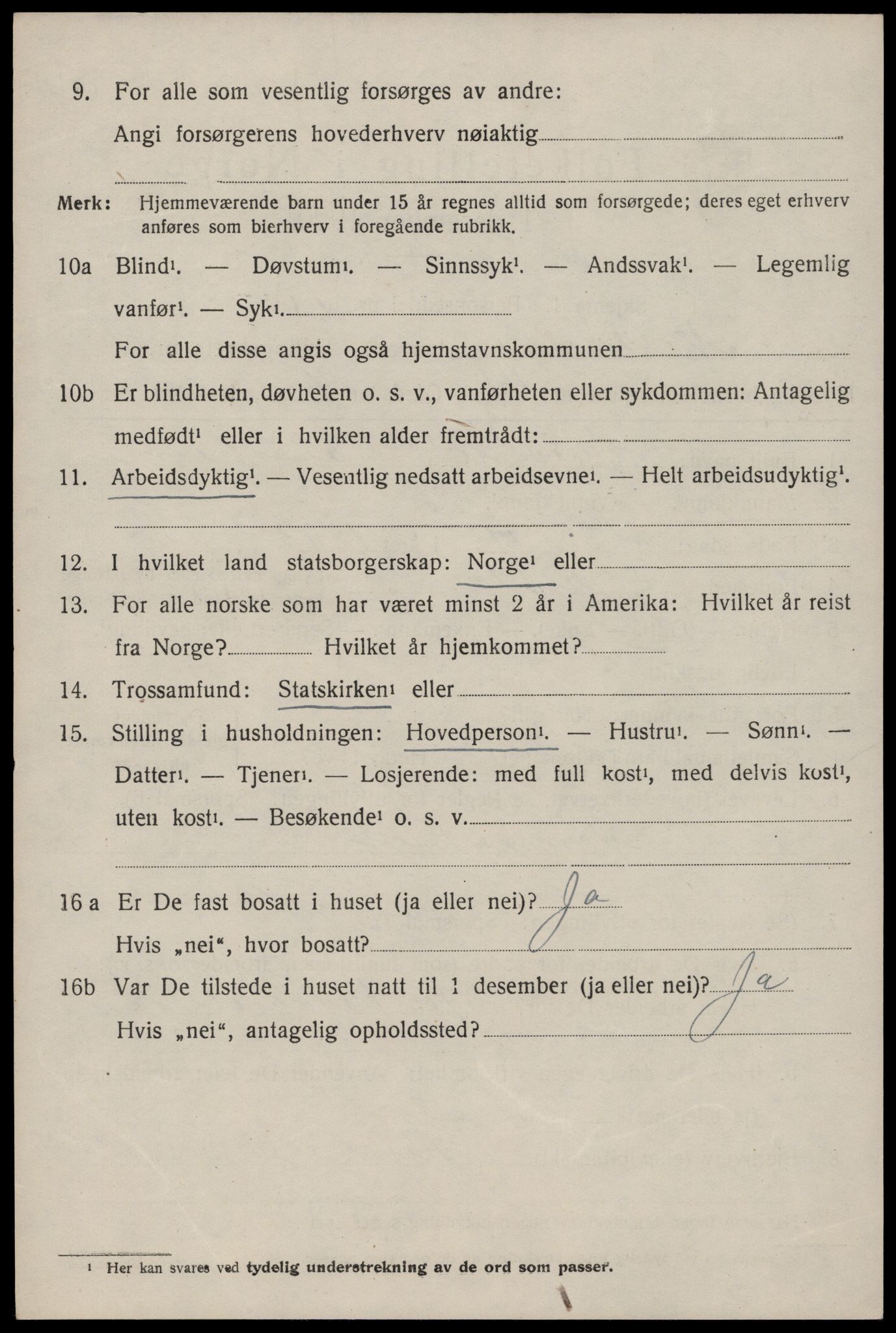 SAKO, 1920 census for Nissedal, 1920, p. 1252