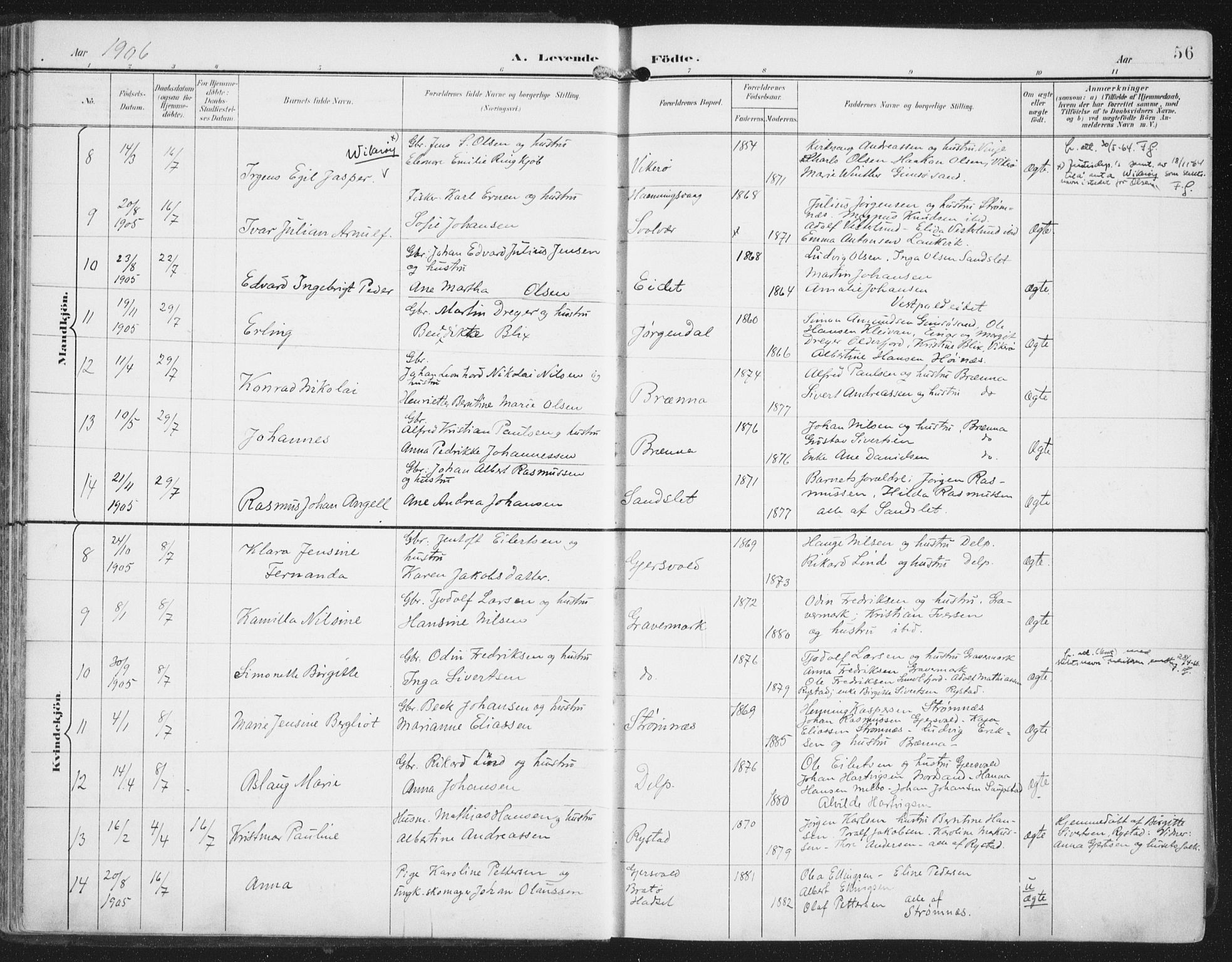 Ministerialprotokoller, klokkerbøker og fødselsregistre - Nordland, AV/SAT-A-1459/876/L1098: Parish register (official) no. 876A04, 1896-1915, p. 56