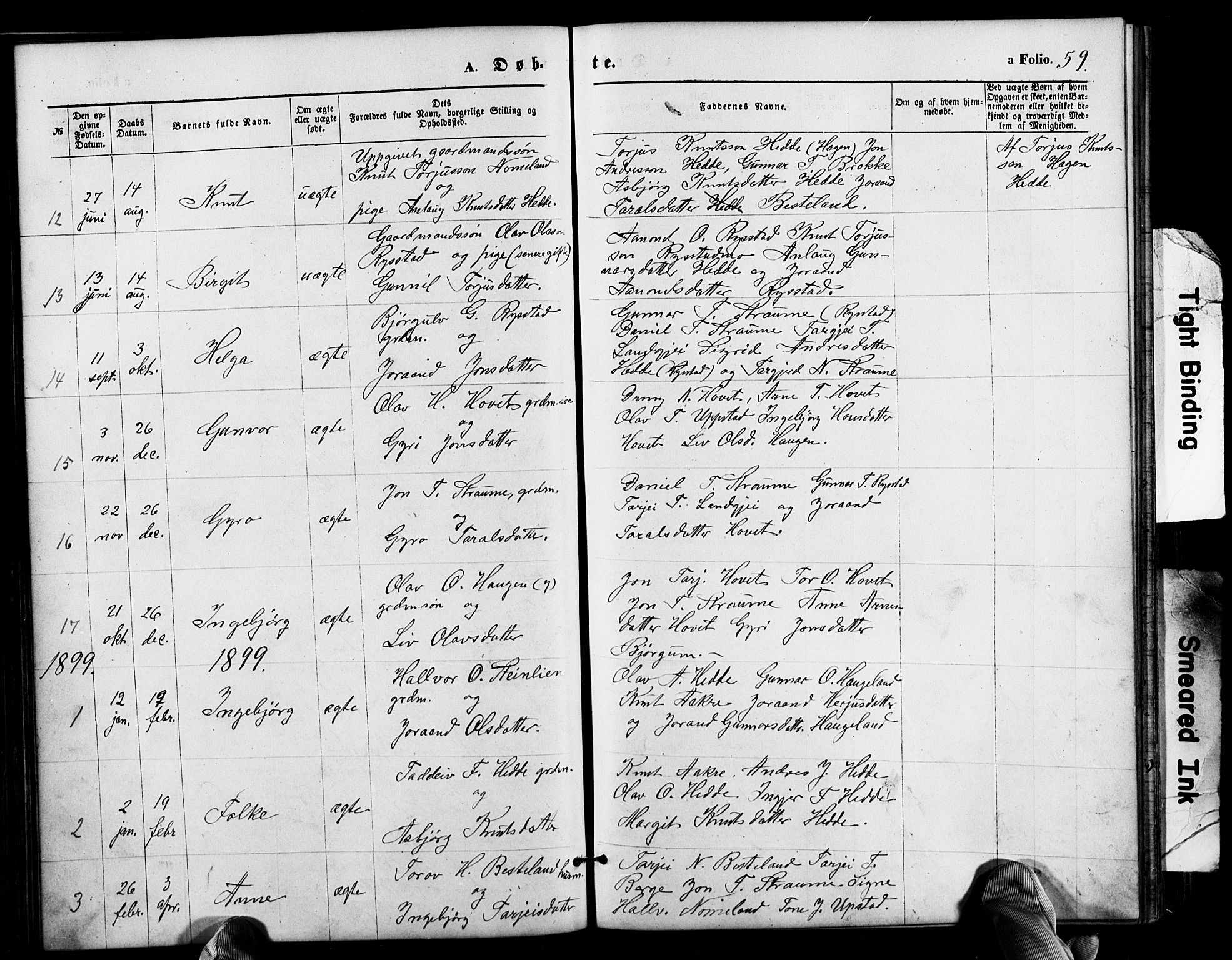 Valle sokneprestkontor, SAK/1111-0044/F/Fb/Fbb/L0002: Parish register (copy) no. B 2, 1875-1921, p. 59