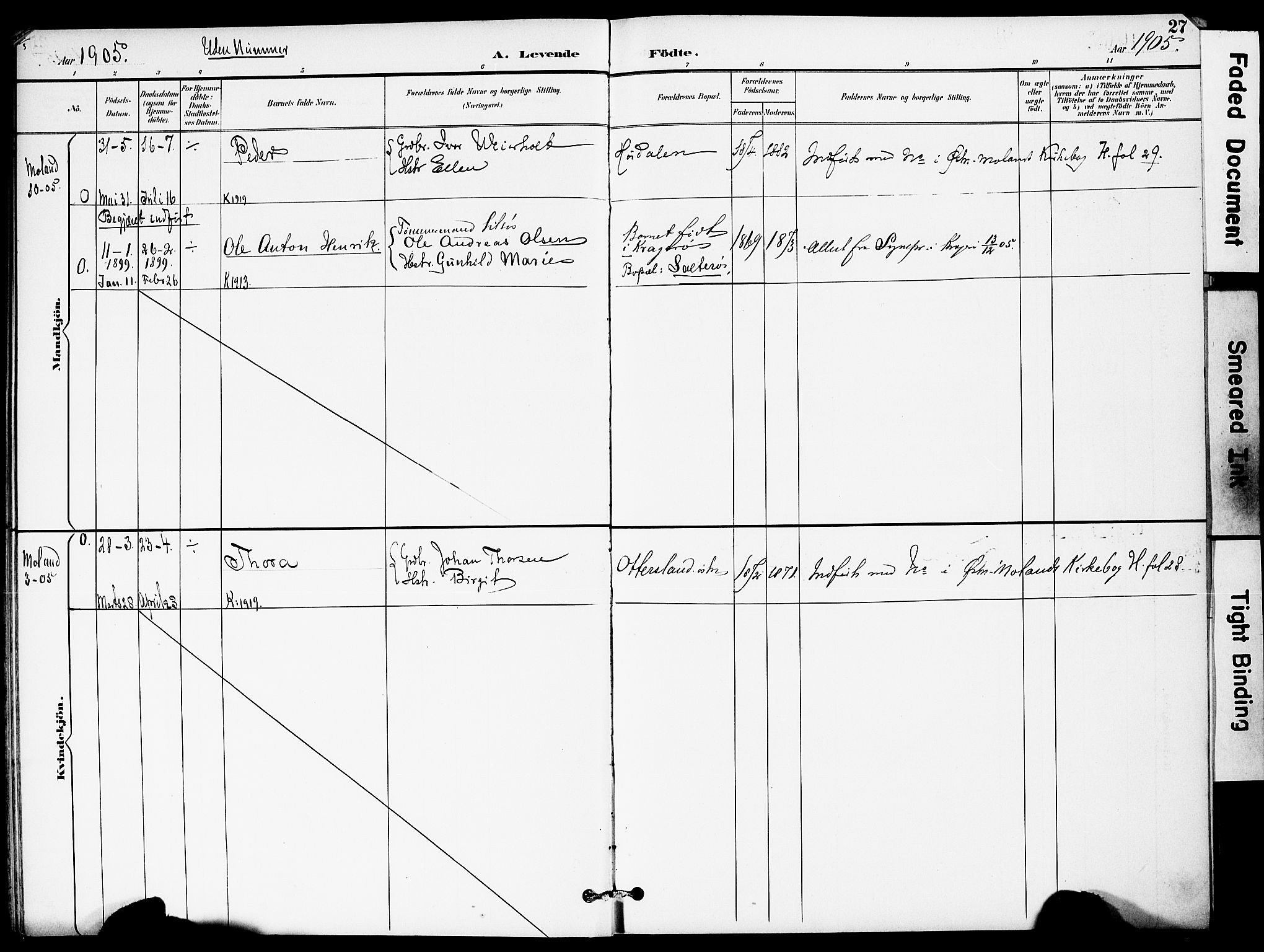 Austre Moland sokneprestkontor, SAK/1111-0001/F/Fa/Fab/L0002: Parish register (official) no. A 2, 1894-1919, p. 27