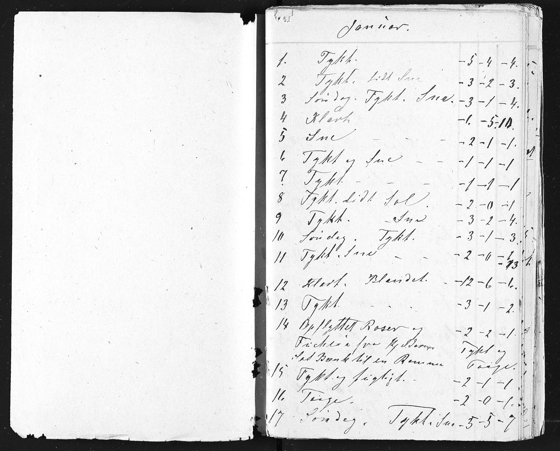 Familien Aalls privatarkiv , NESJ/NJM-005/E-00003/L0001/0003/0011: Dag- og notatbøker / Dølner dagbokpakke 001, 1875-1876