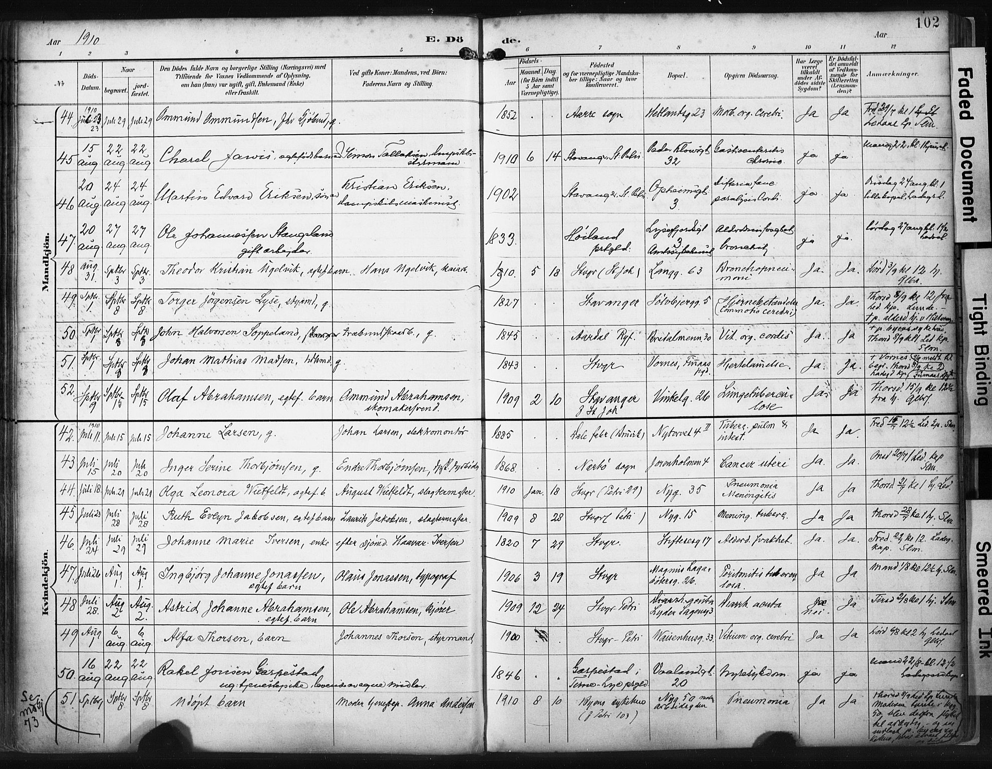 St. Petri sokneprestkontor, SAST/A-101813/001/30/30BA/L0022: Parish register (official) no. A 22, 1895-1919, p. 102