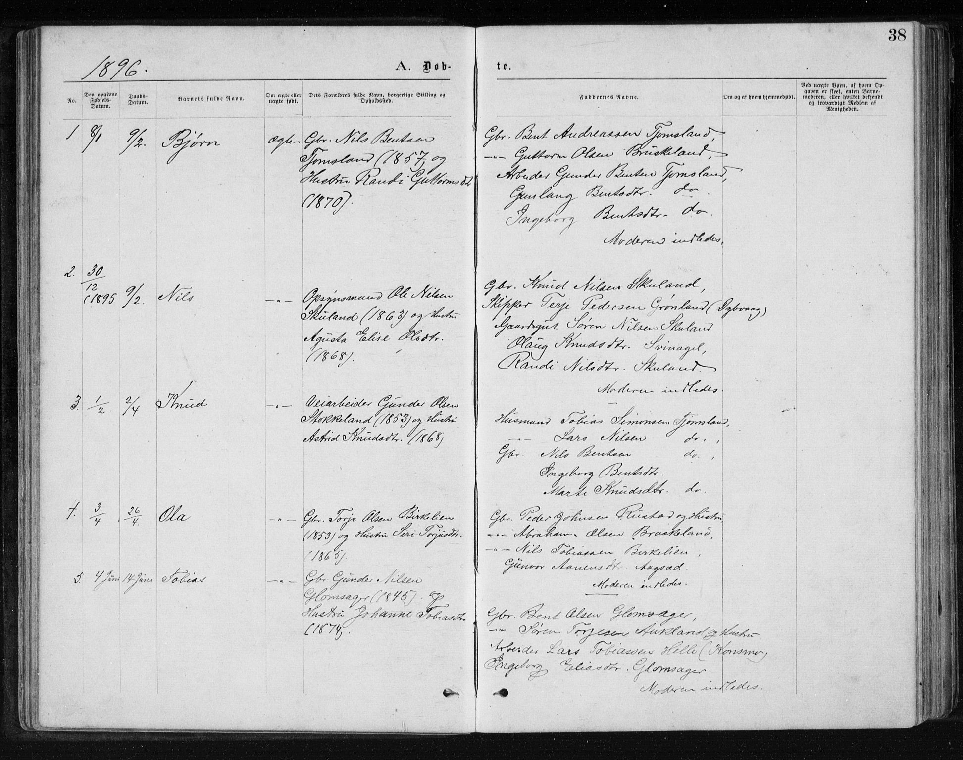 Holum sokneprestkontor, AV/SAK-1111-0022/F/Fb/Fbb/L0003: Parish register (copy) no. B 3, 1875-1898, p. 38