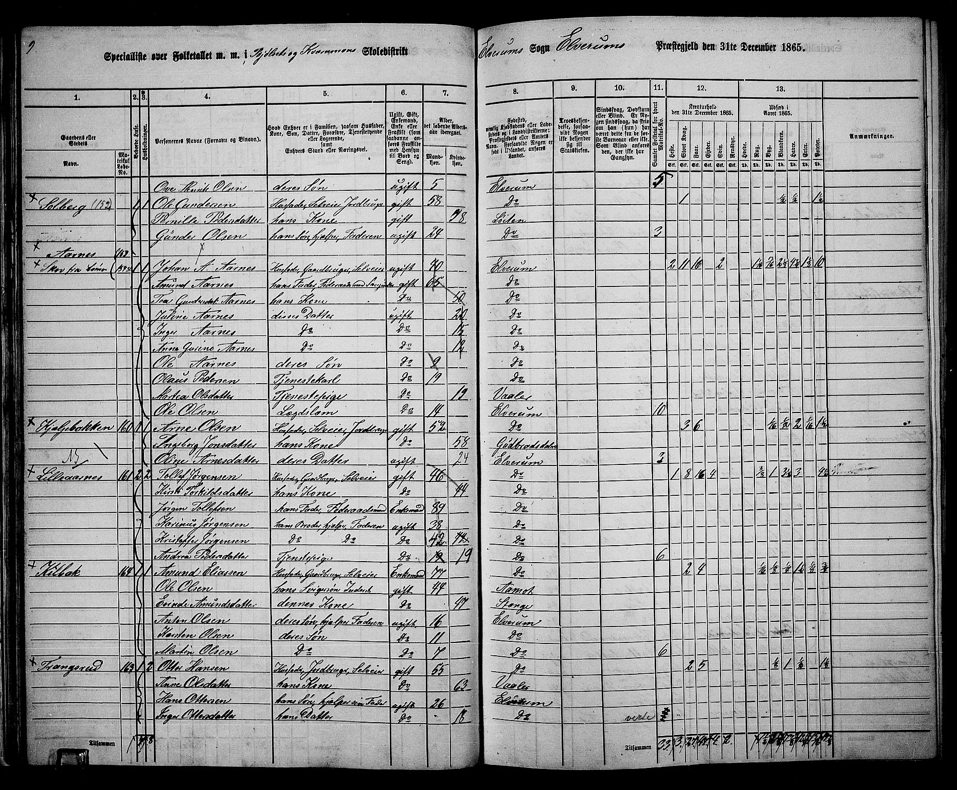 RA, 1865 census for Elverum, 1865, p. 33