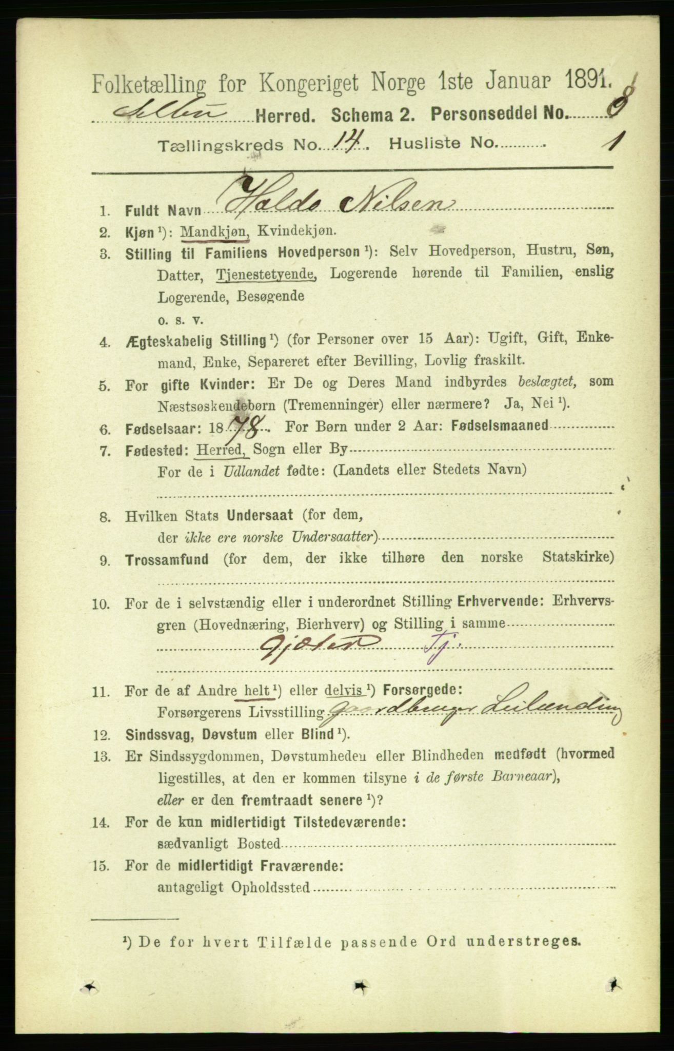 RA, 1891 census for 1664 Selbu, 1891, p. 5087