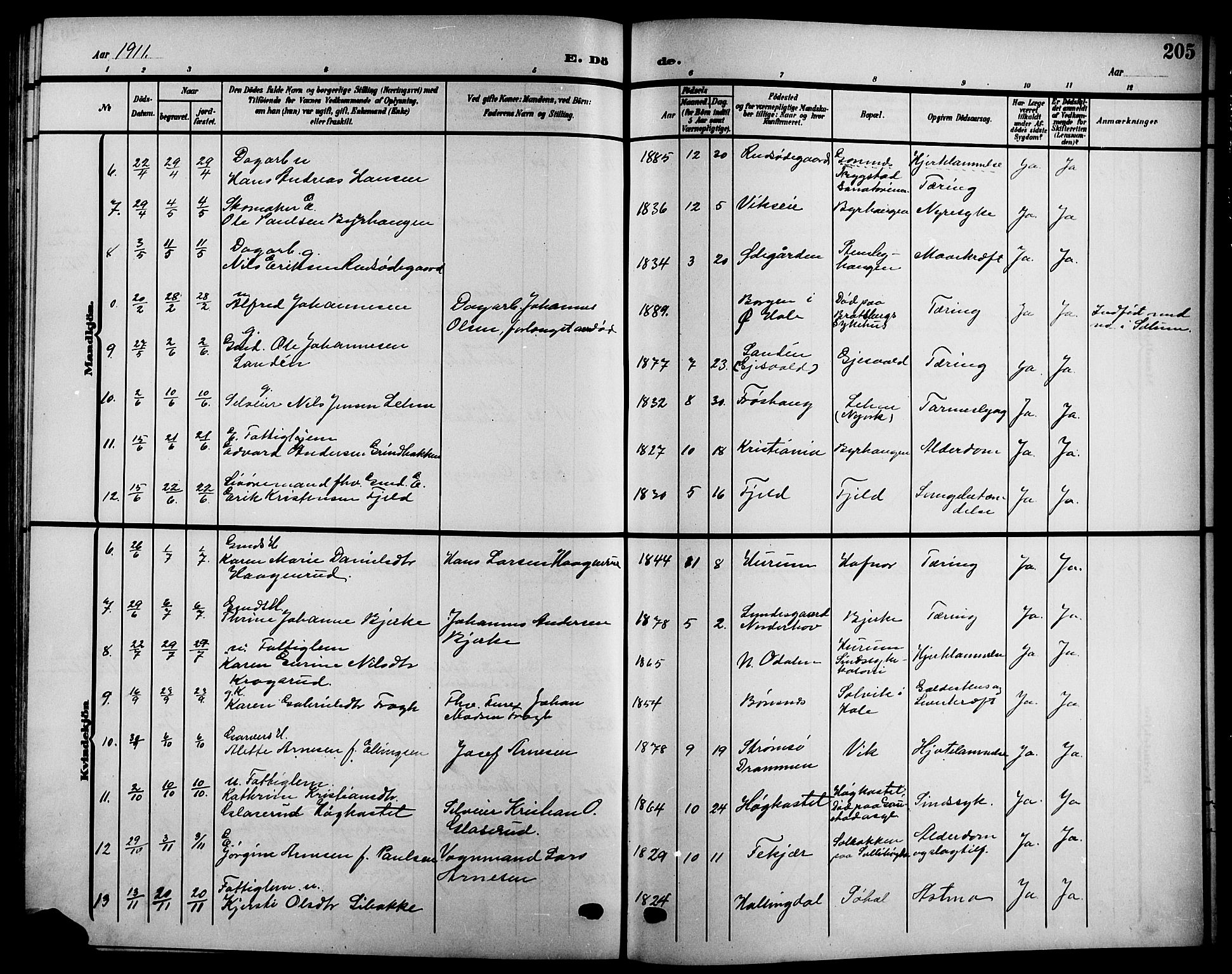 Hole kirkebøker, AV/SAKO-A-228/G/Ga/L0004: Parish register (copy) no. I 4, 1905-1924, p. 205