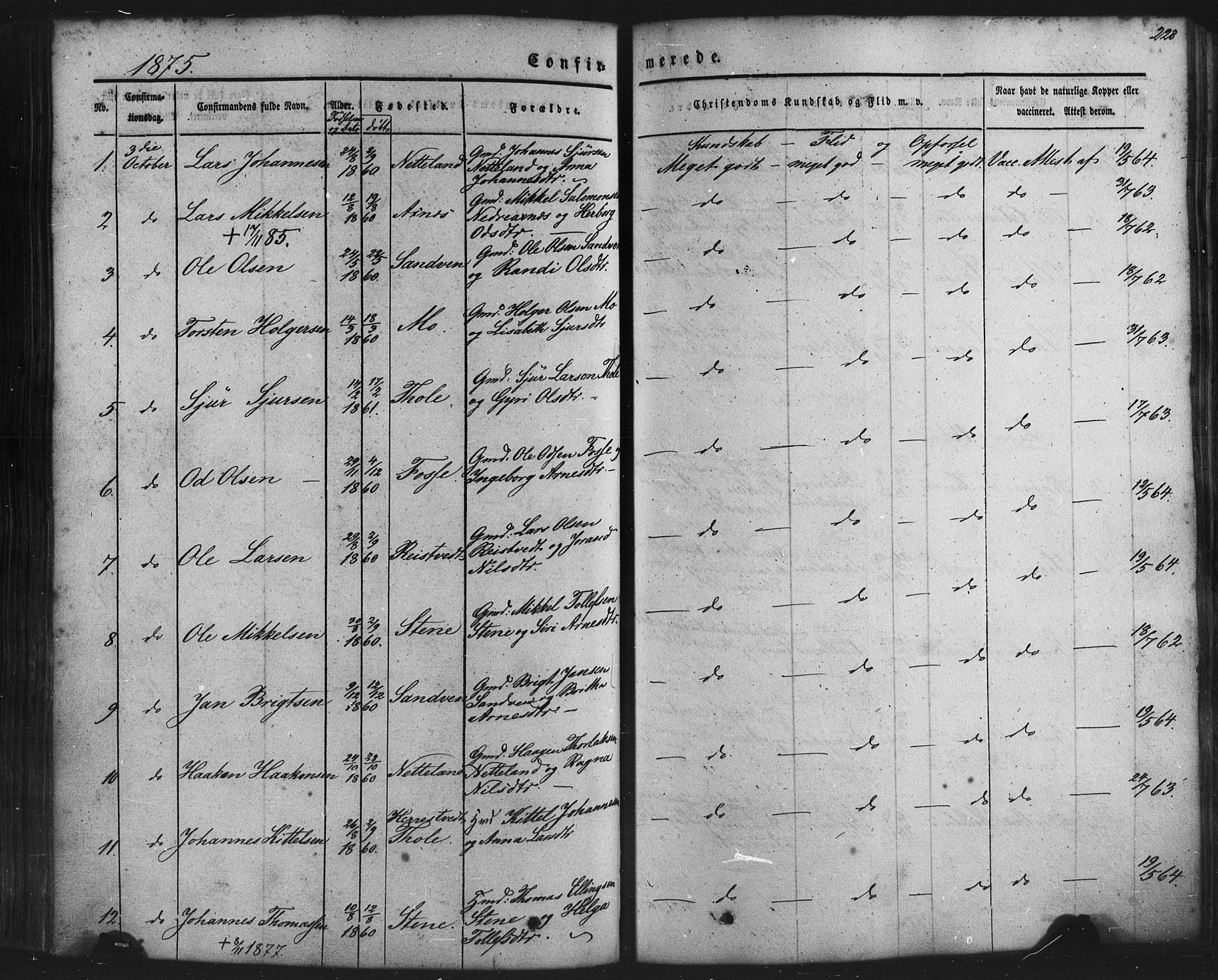Kvam sokneprestembete, SAB/A-76201/H/Haa: Parish register (official) no. A 9, 1864-1879, p. 228