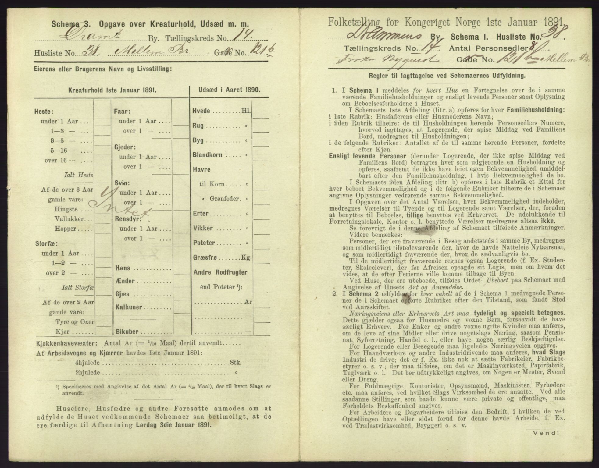 RA, 1891 census for 0602 Drammen, 1891, p. 1227