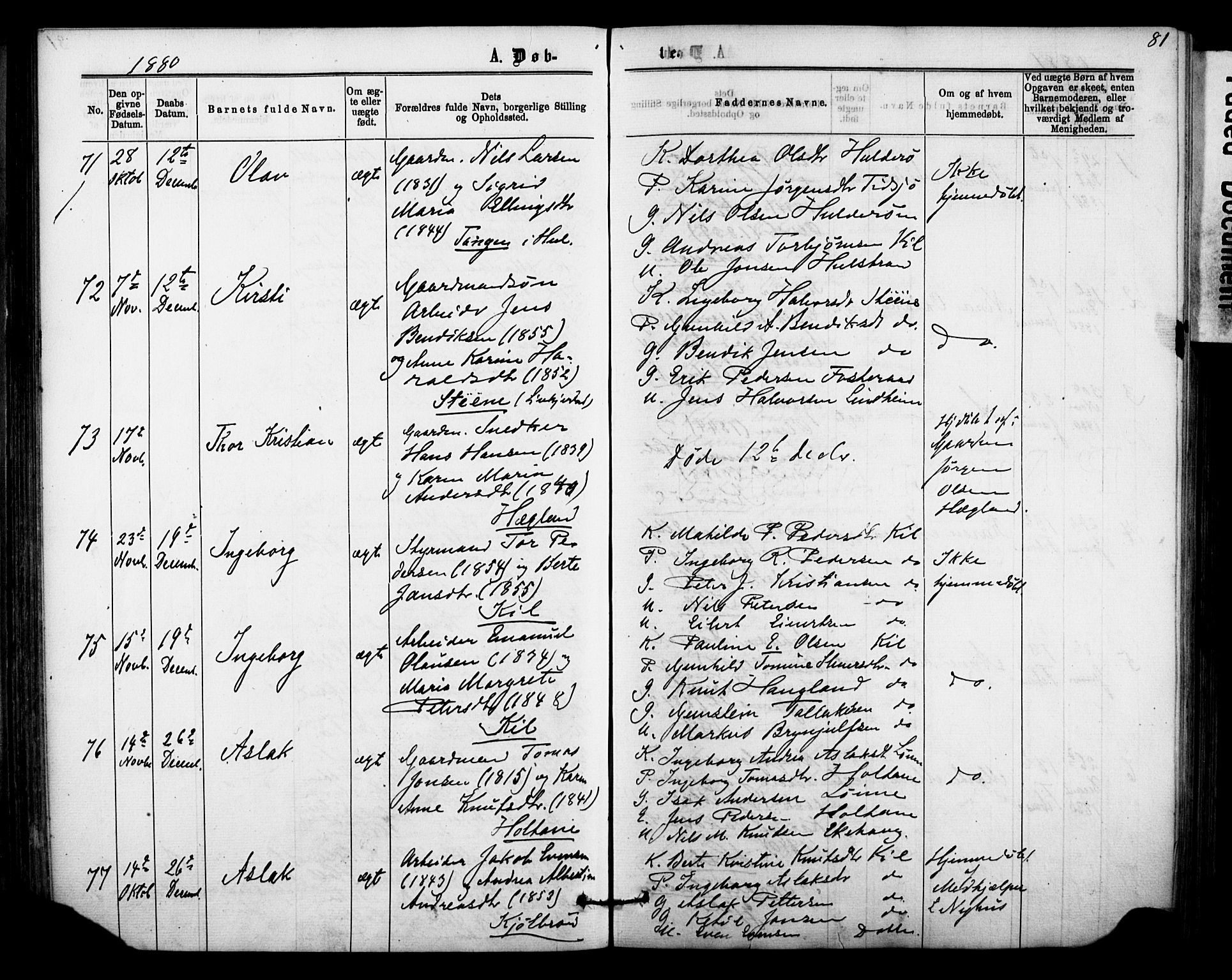 Sannidal kirkebøker, SAKO/A-296/F/Fa/L0014: Parish register (official) no. 14, 1874-1883, p. 81