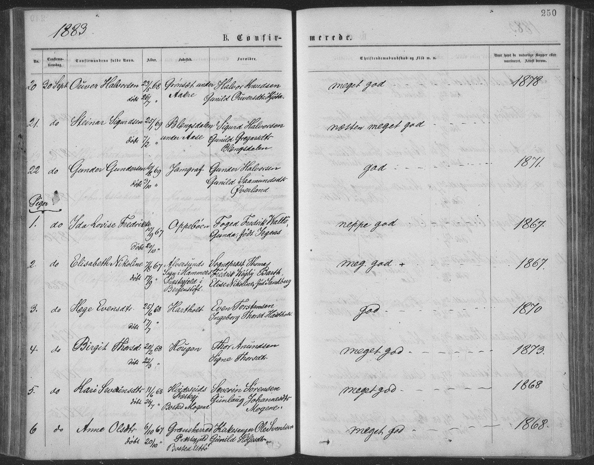 Seljord kirkebøker, AV/SAKO-A-20/F/Fa/L0014: Parish register (official) no. I 14, 1877-1886, p. 250