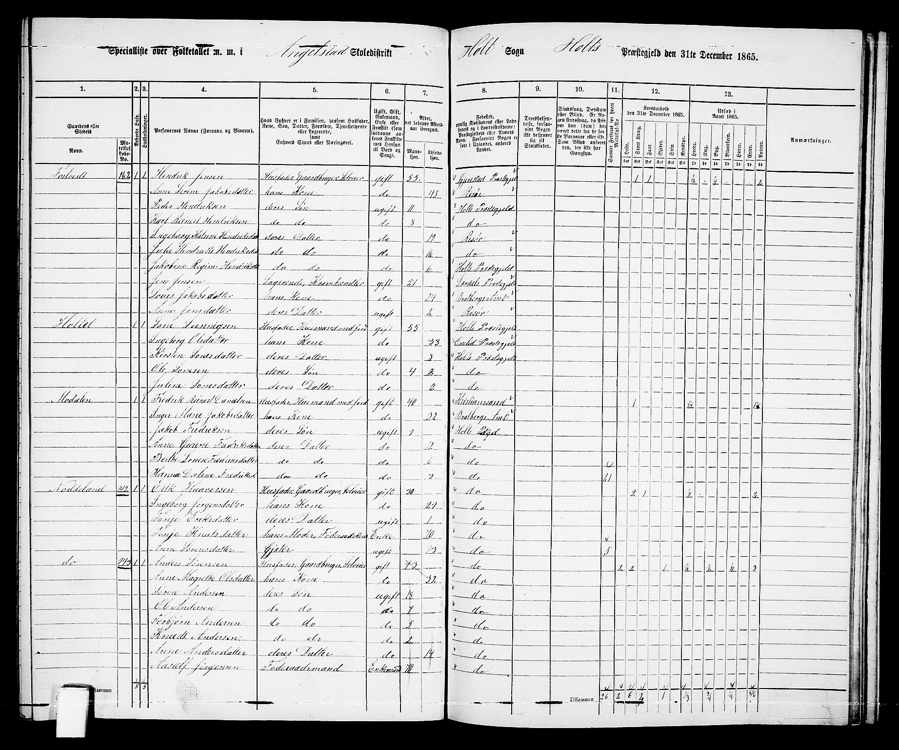 RA, 1865 census for Holt/Holt, 1865, p. 156