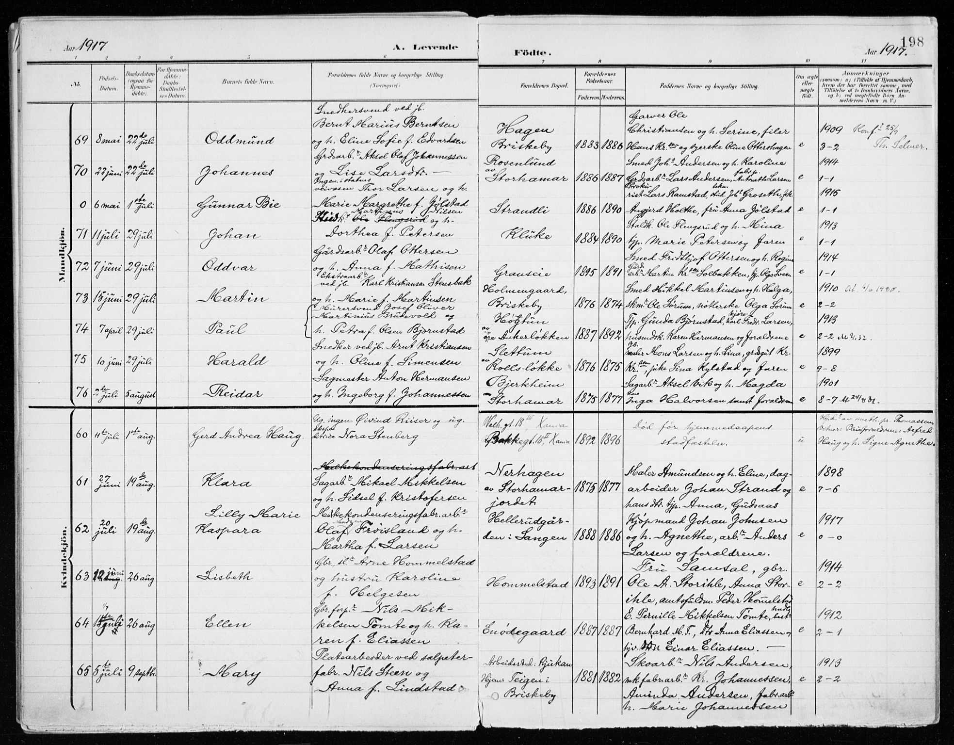 Vang prestekontor, Hedmark, AV/SAH-PREST-008/H/Ha/Haa/L0021: Parish register (official) no. 21, 1902-1917, p. 198