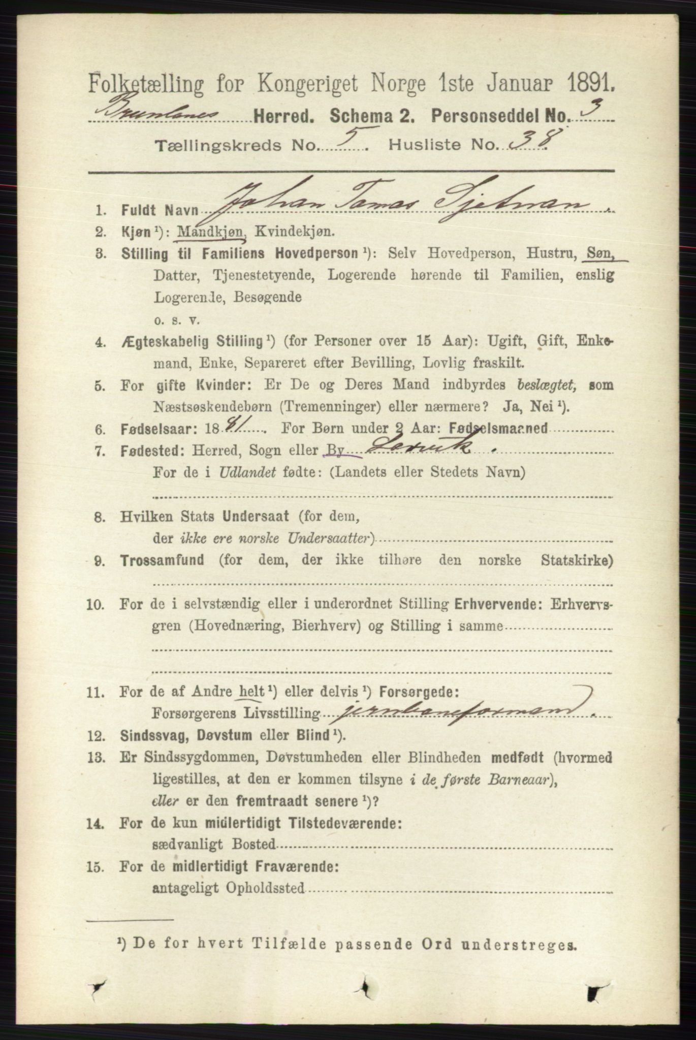 RA, 1891 census for 0726 Brunlanes, 1891, p. 2429