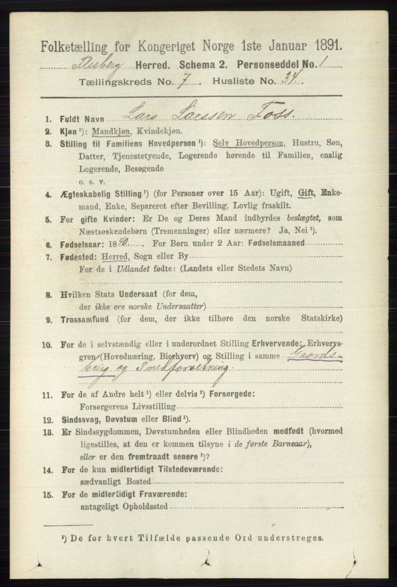 RA, 1891 census for 0631 Flesberg, 1891, p. 1317