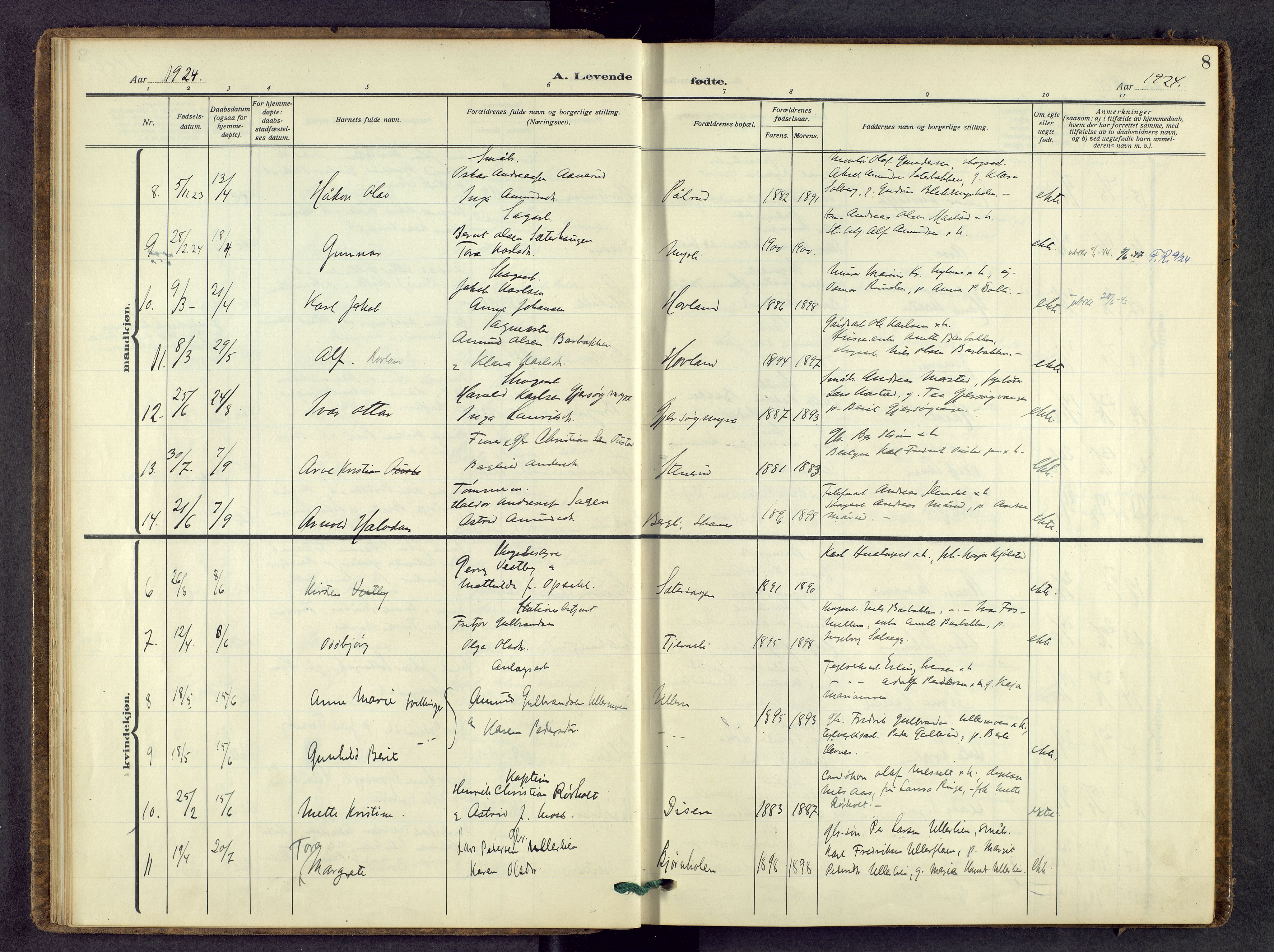 Sør-Odal prestekontor, AV/SAH-PREST-030/H/Ha/Haa/L0012: Parish register (official) no. 12, 1923-1936, p. 8