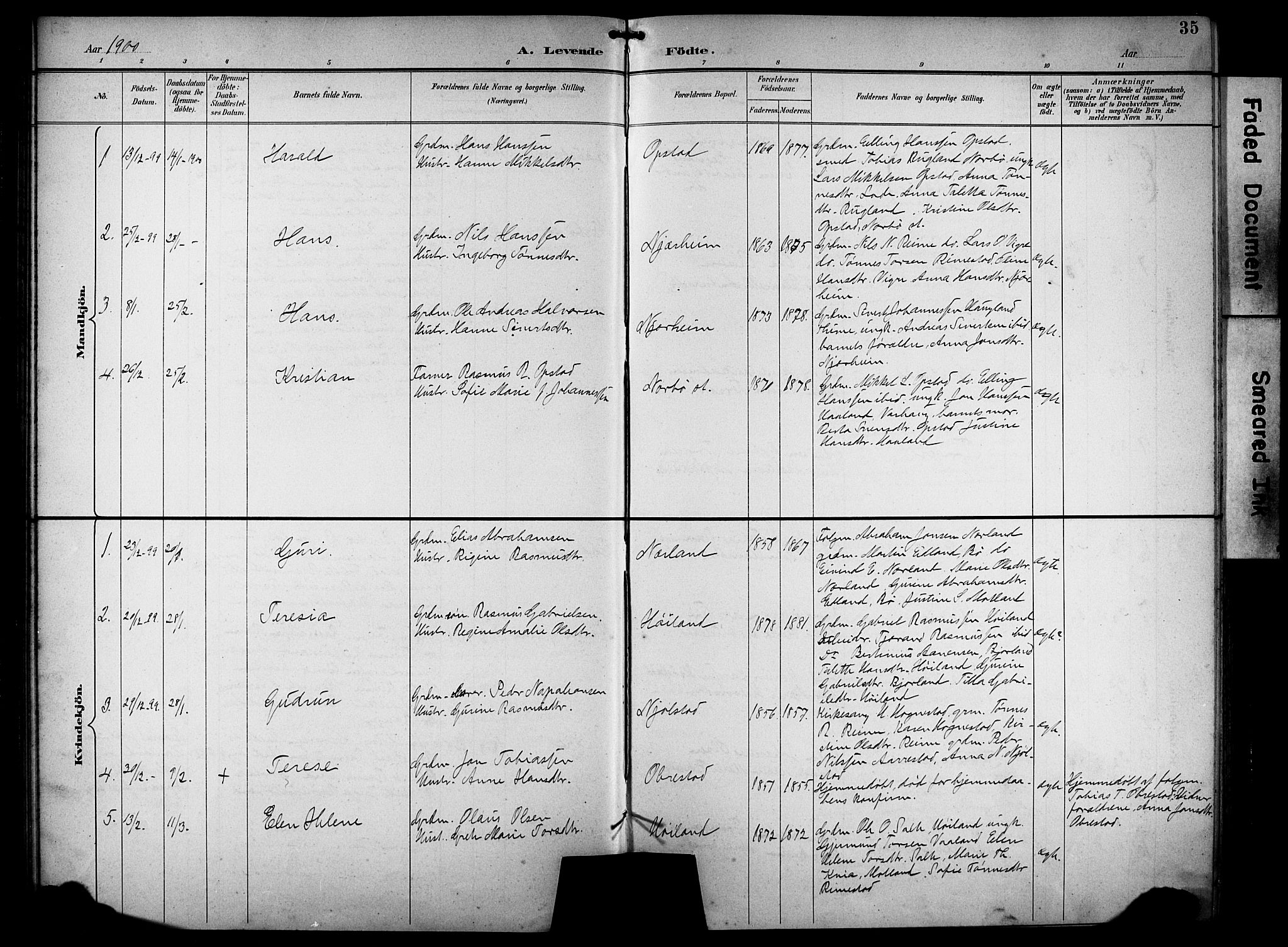 Hå sokneprestkontor, AV/SAST-A-101801/001/30BB/L0005: Parish register (copy) no. B 5, 1894-1912, p. 35