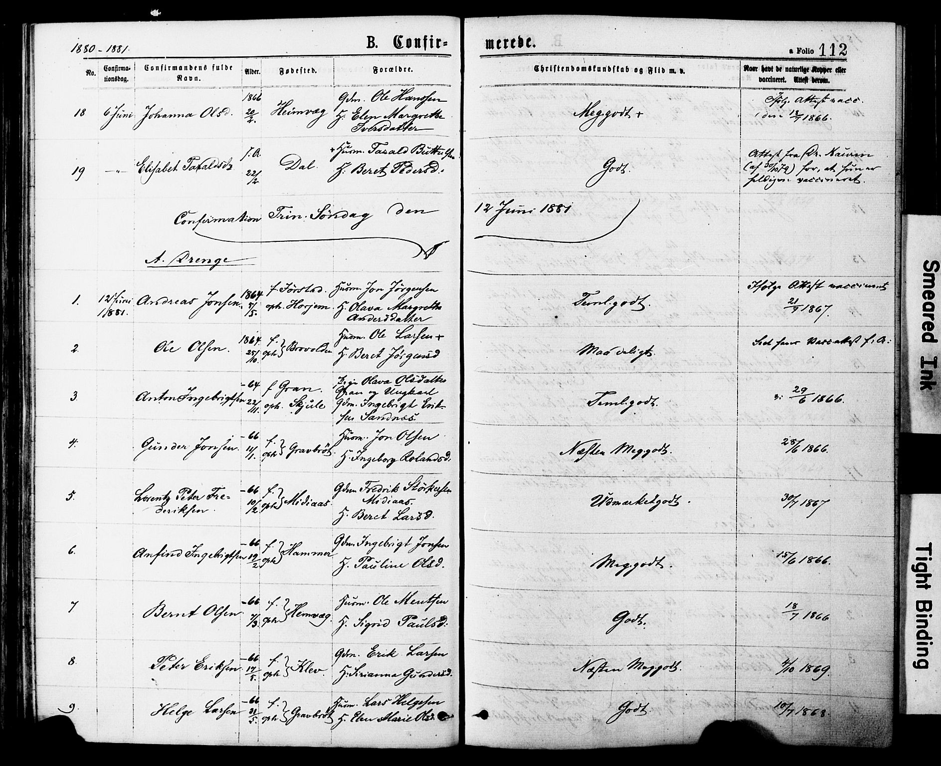 Ministerialprotokoller, klokkerbøker og fødselsregistre - Nord-Trøndelag, AV/SAT-A-1458/749/L0473: Parish register (official) no. 749A07, 1873-1887, p. 112