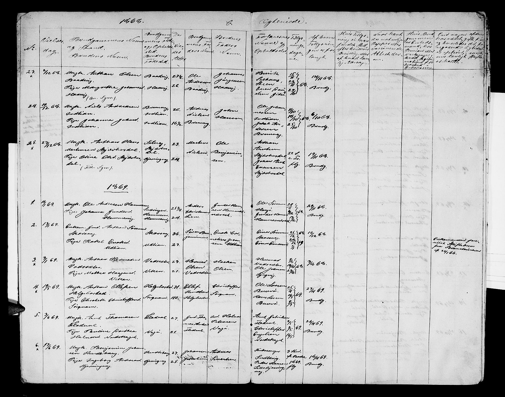 Ministerialprotokoller, klokkerbøker og fødselsregistre - Sør-Trøndelag, AV/SAT-A-1456/634/L0540: Parish register (copy) no. 634C02, 1866-1873, p. 8