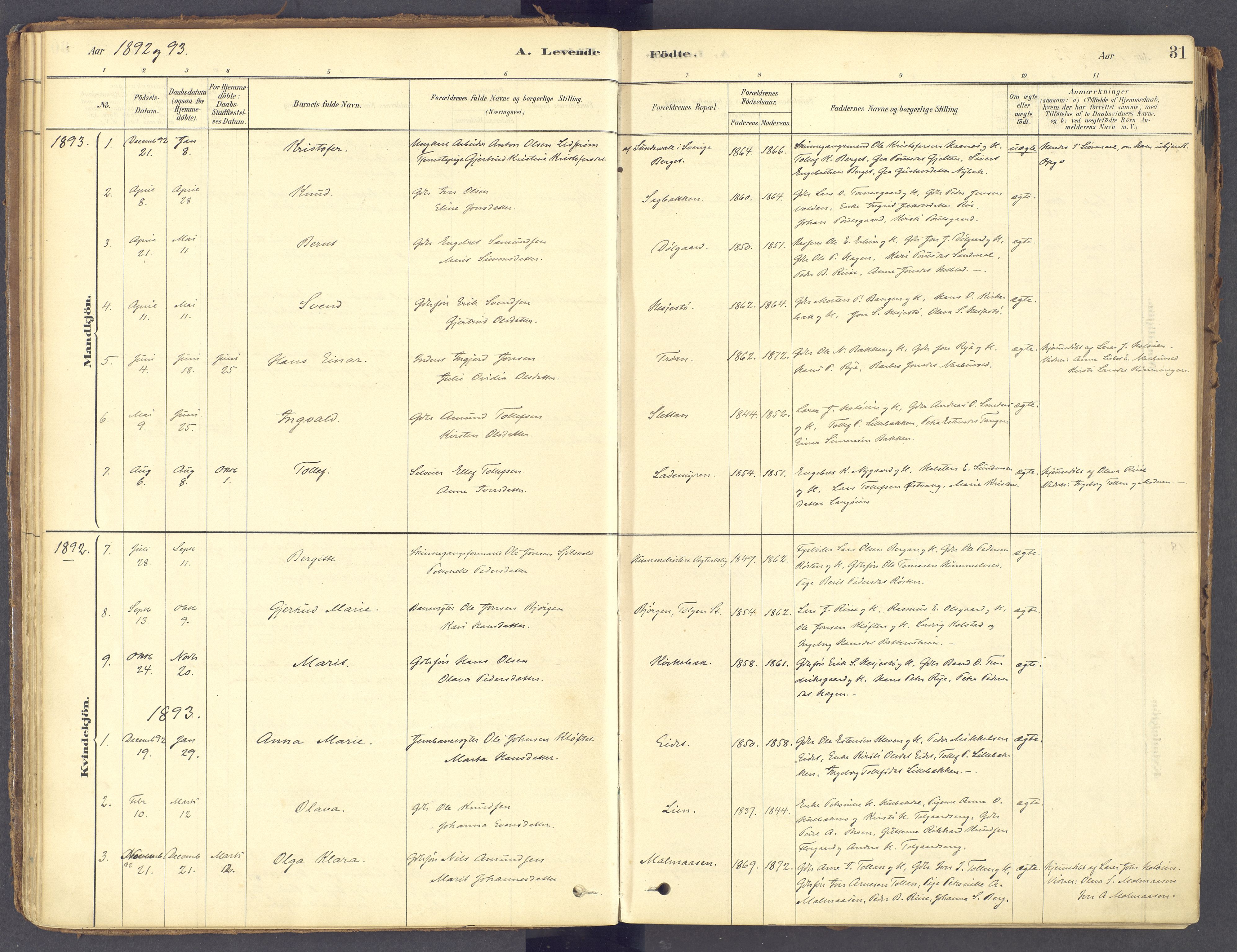 Tolga prestekontor, AV/SAH-PREST-062/K/L0011: Parish register (official) no. 11, 1877-1920, p. 31