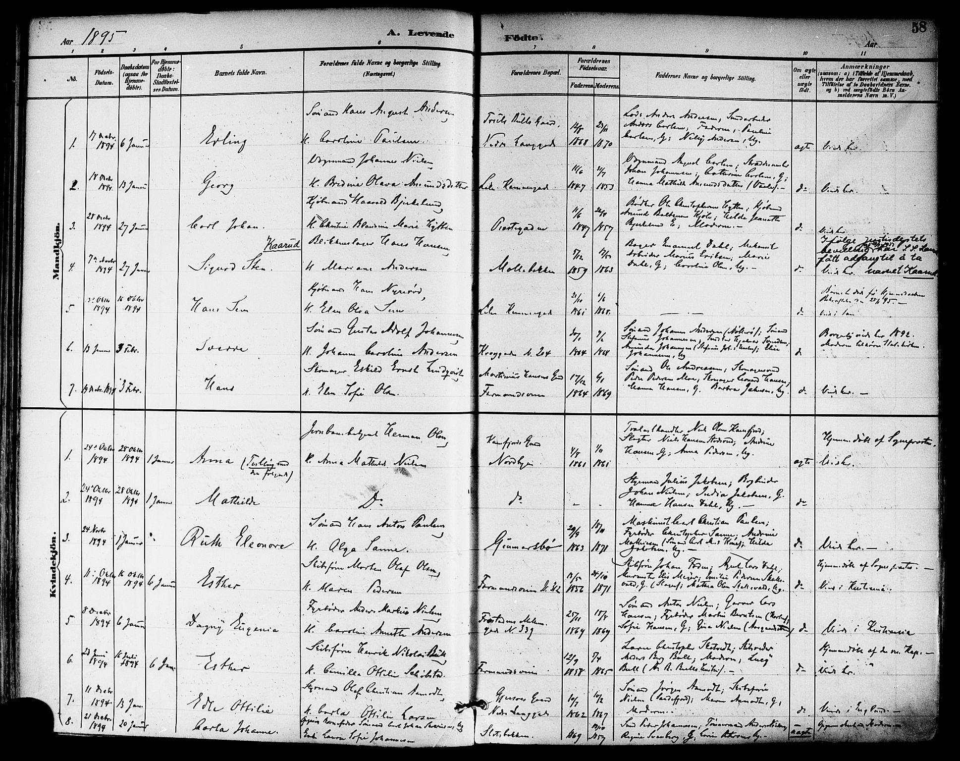 Tønsberg kirkebøker, SAKO/A-330/F/Fa/L0012: Parish register (official) no. I 12, 1891-1899, p. 58