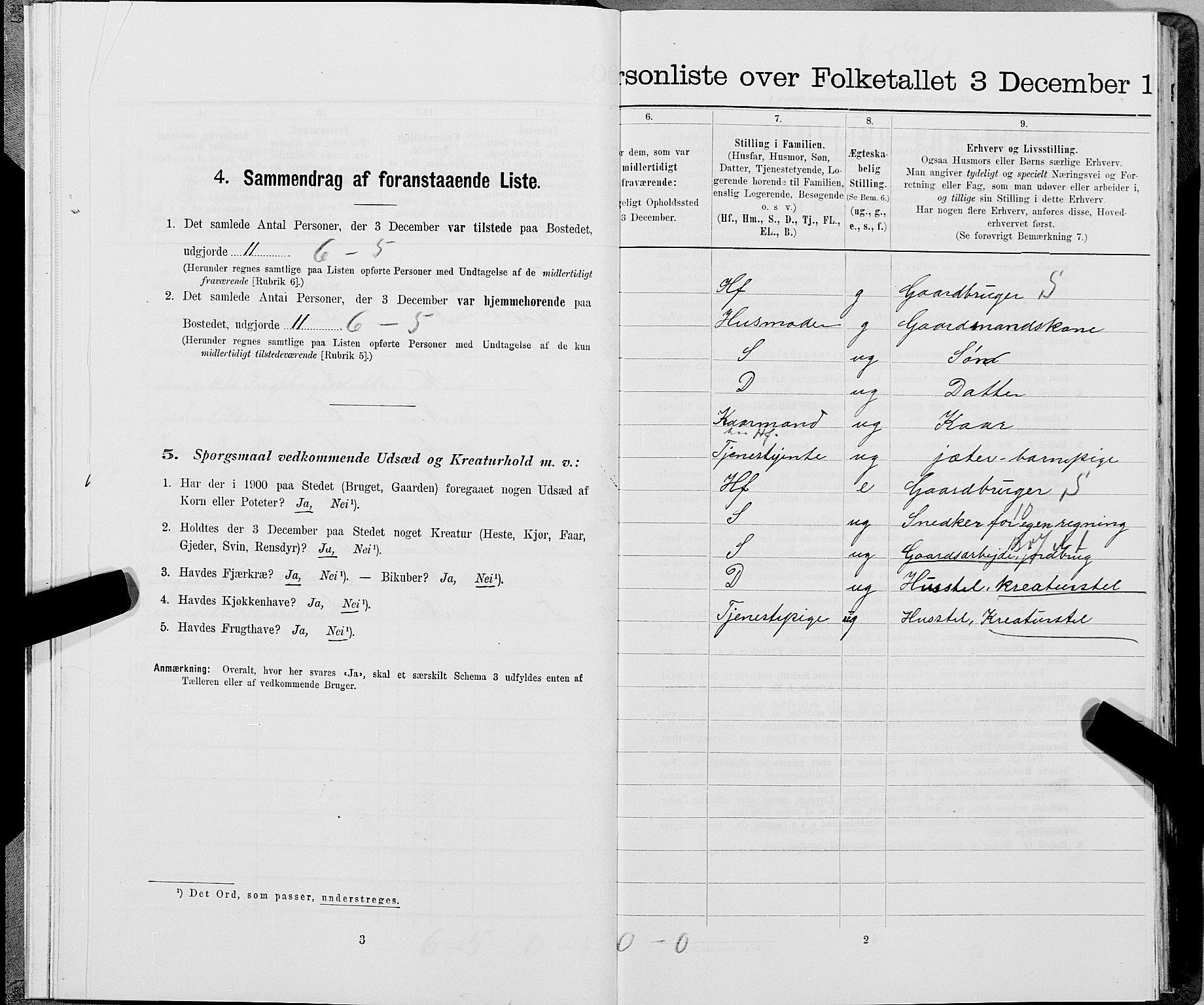 SAT, 1900 census for Snåsa, 1900, p. 1153