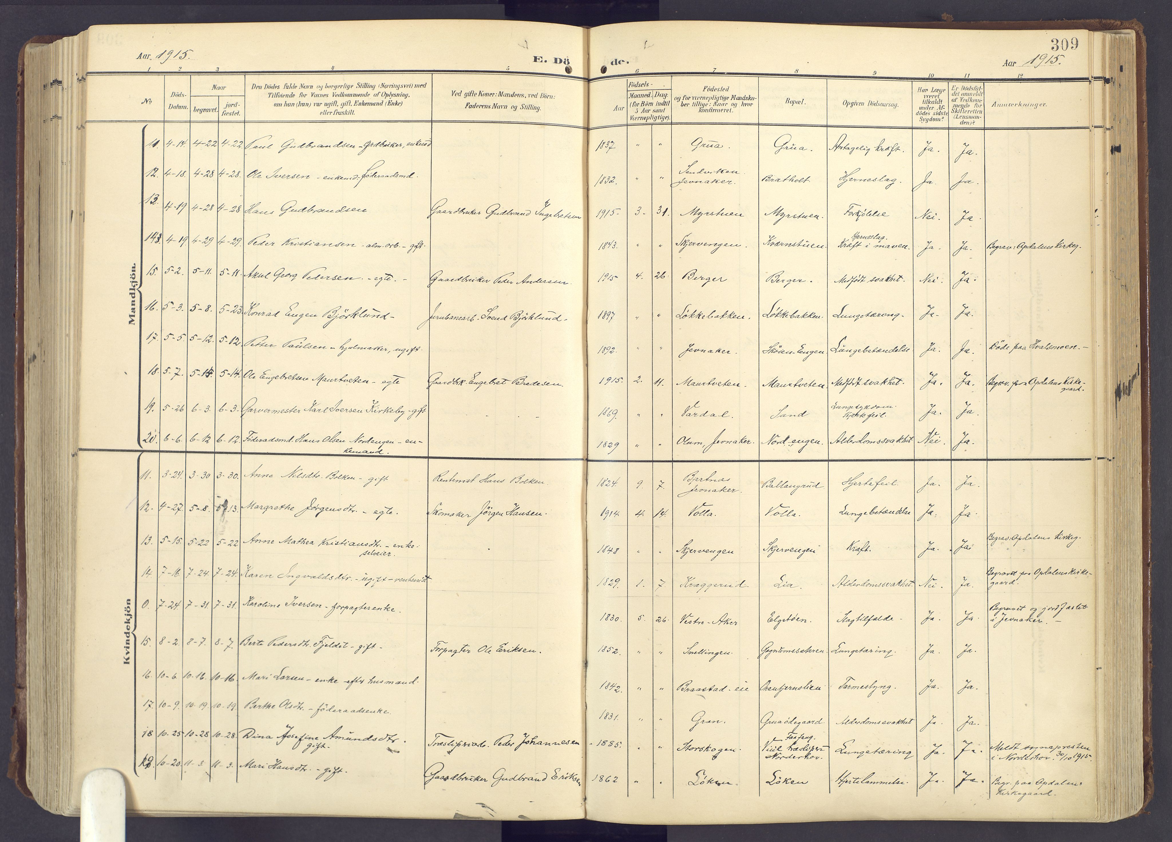 Lunner prestekontor, SAH/PREST-118/H/Ha/Haa/L0001: Parish register (official) no. 1, 1907-1922, p. 309