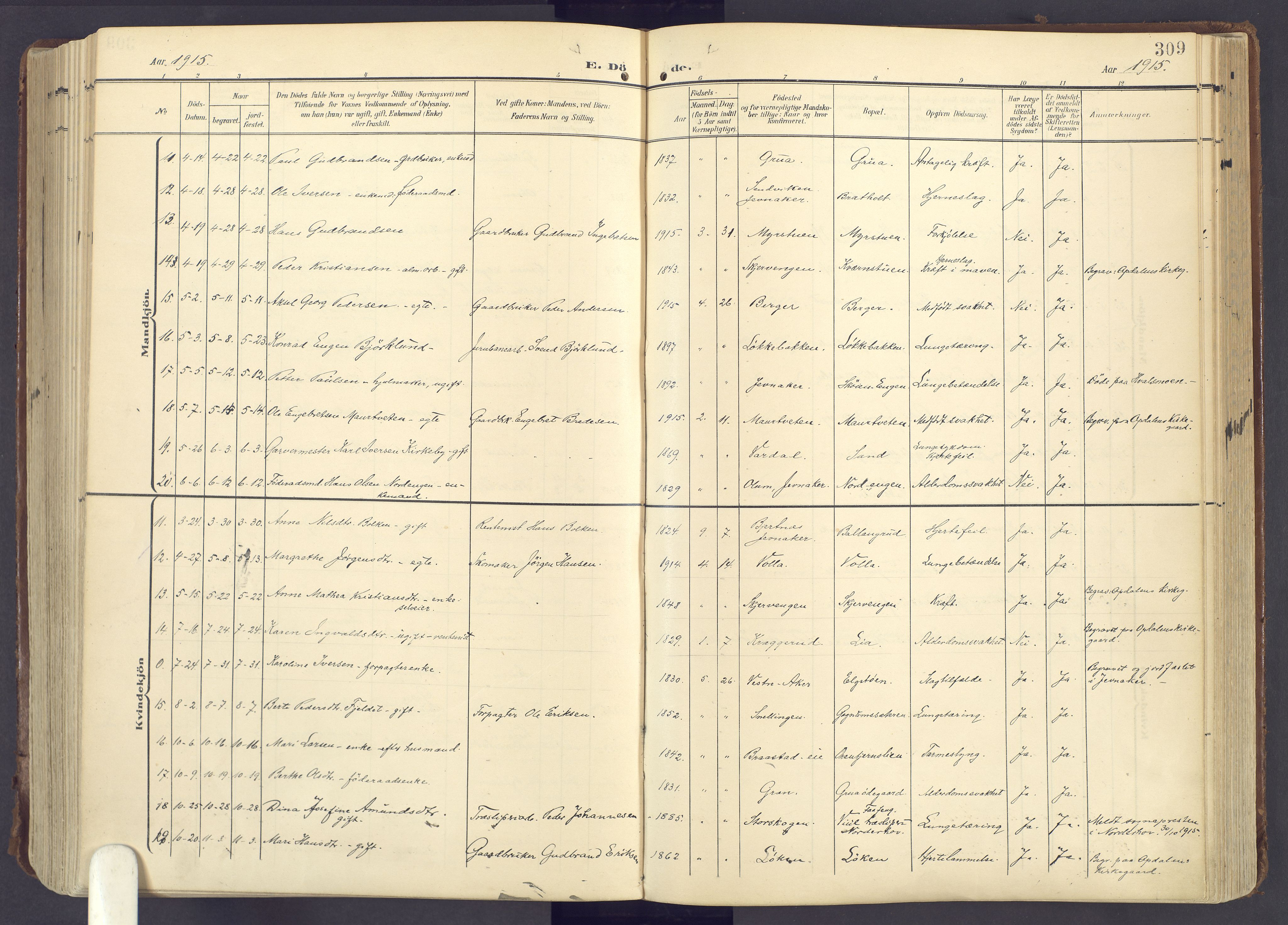 Lunner prestekontor, AV/SAH-PREST-118/H/Ha/Haa/L0001: Parish register (official) no. 1, 1907-1922, p. 309