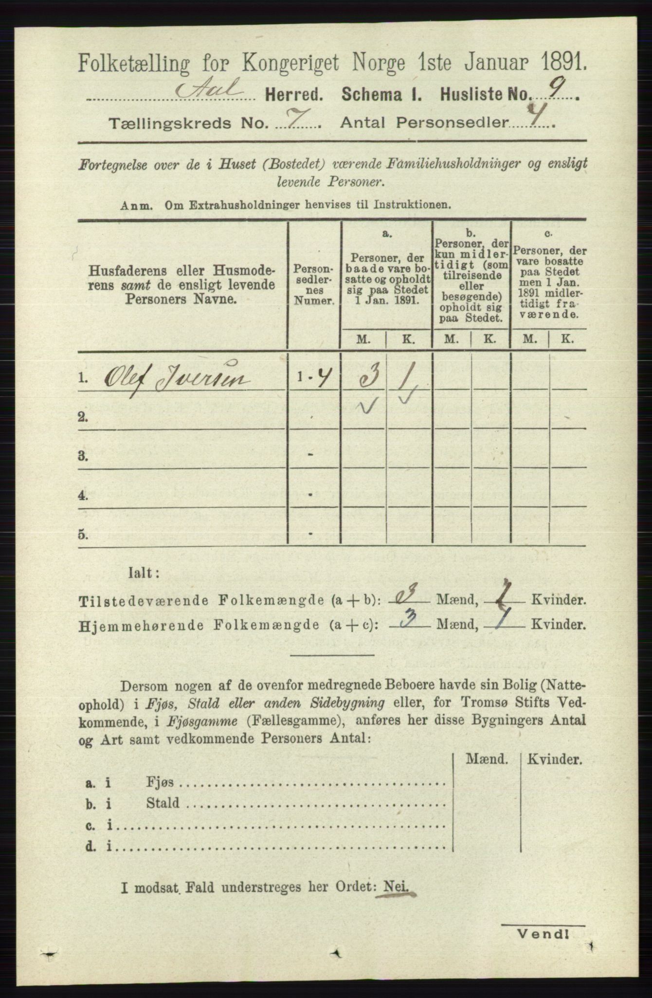 RA, 1891 census for 0619 Ål, 1891, p. 1790