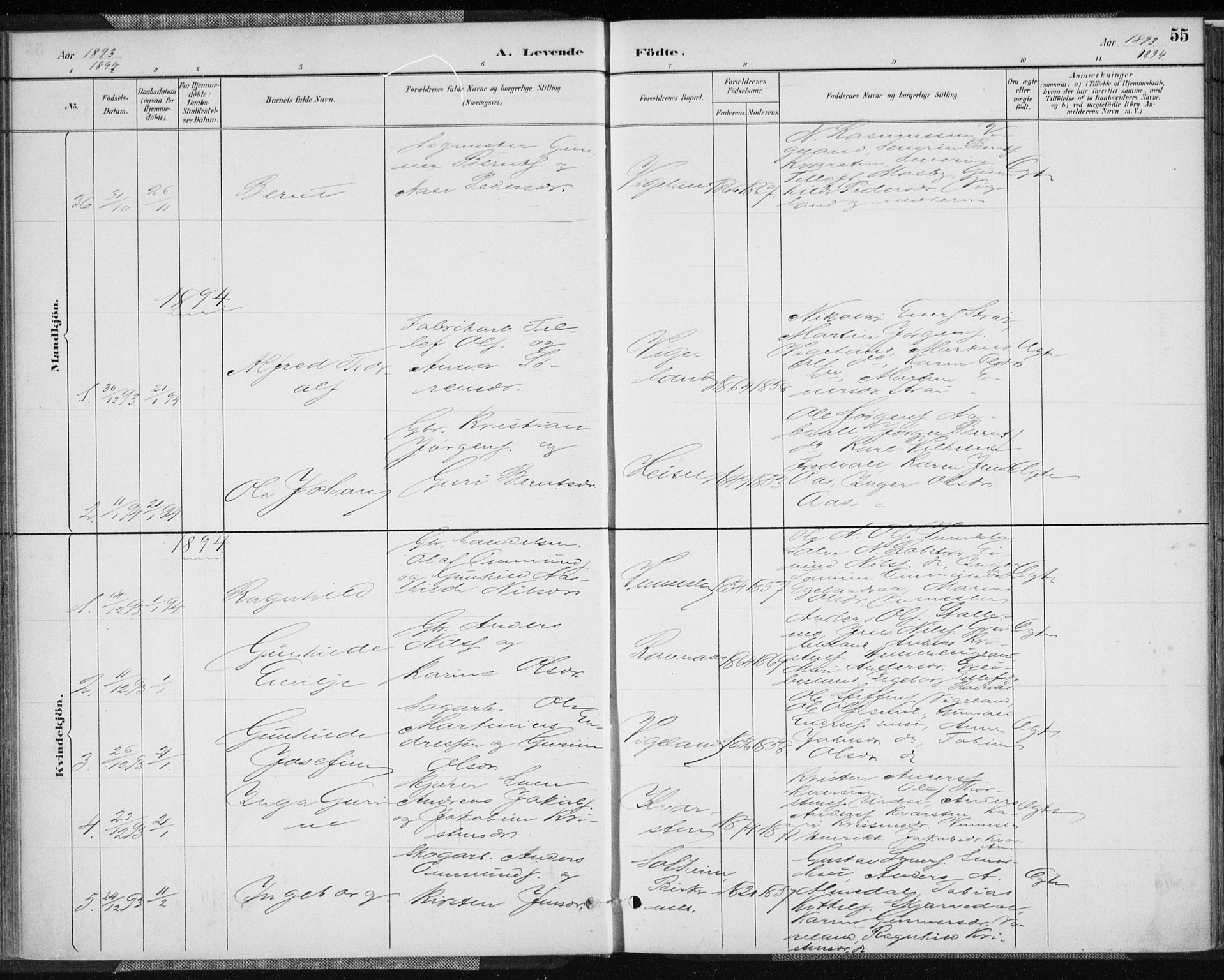 Vennesla sokneprestkontor, AV/SAK-1111-0045/Fa/Fab/L0004: Parish register (official) no. A 4, 1884-1896, p. 55