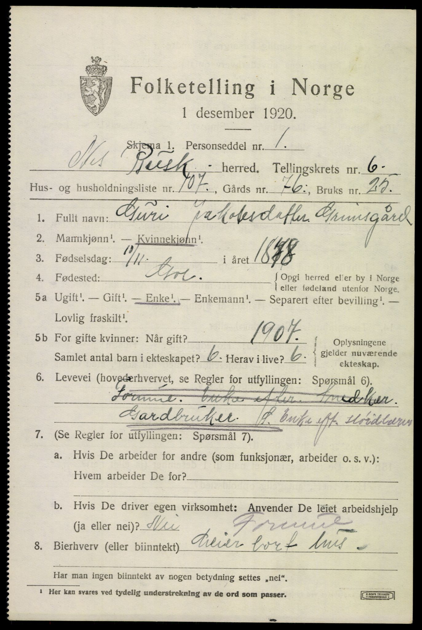 SAKO, 1920 census for Nes (Buskerud), 1920, p. 4354