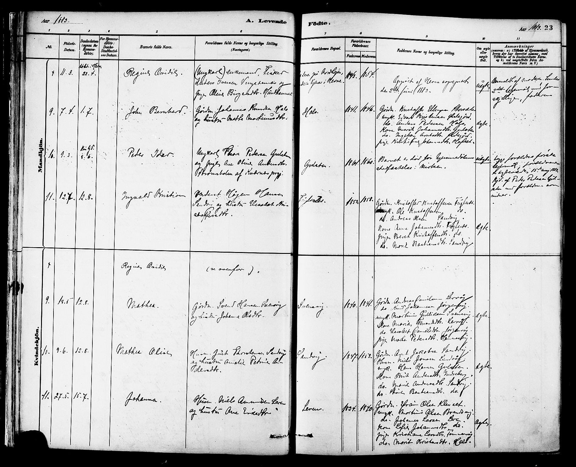 Ministerialprotokoller, klokkerbøker og fødselsregistre - Møre og Romsdal, AV/SAT-A-1454/577/L0896: Parish register (official) no. 577A03, 1880-1898, p. 23