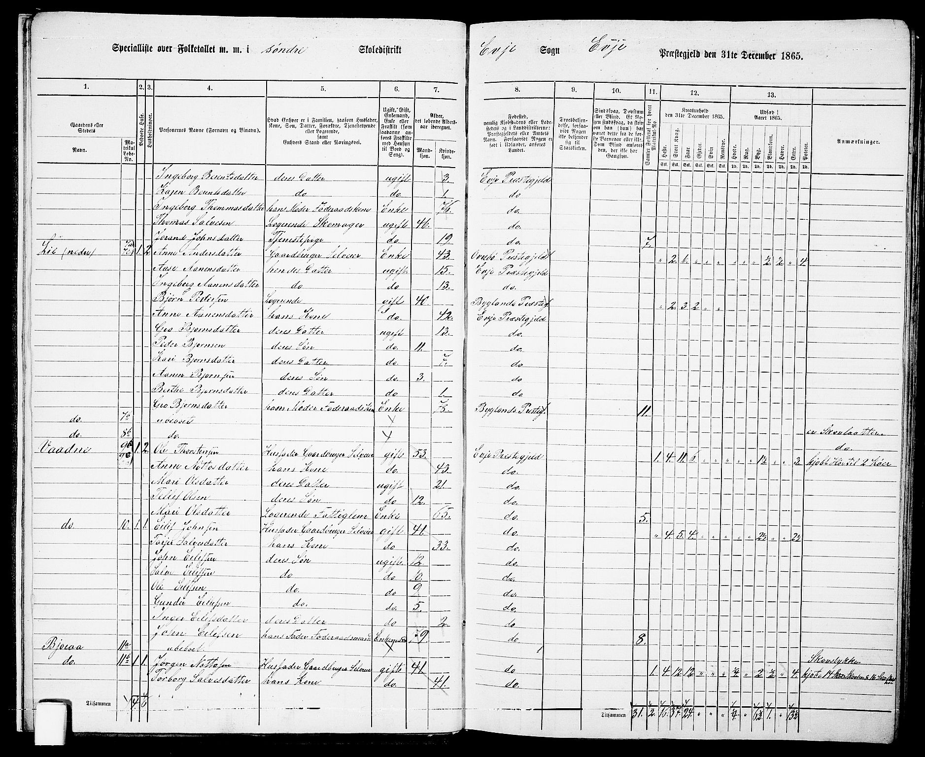 RA, 1865 census for Evje, 1865, p. 11