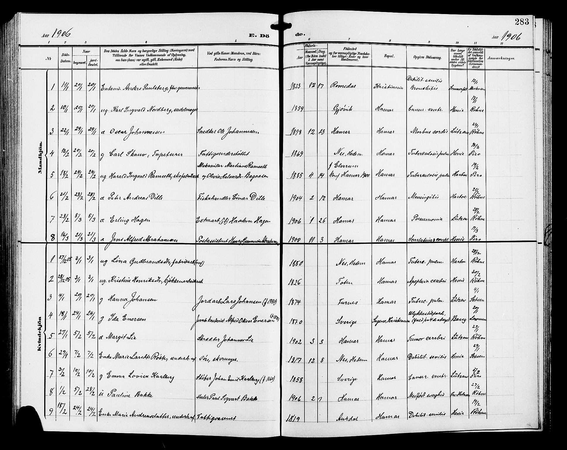 Hamar prestekontor, SAH/DOMPH-002/H/Ha/Hab/L0001: Parish register (copy) no. 1, 1899-1914, p. 283