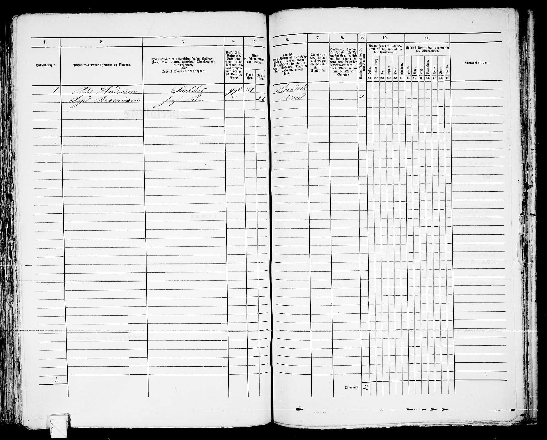 RA, 1865 census for Risør/Risør, 1865, p. 289