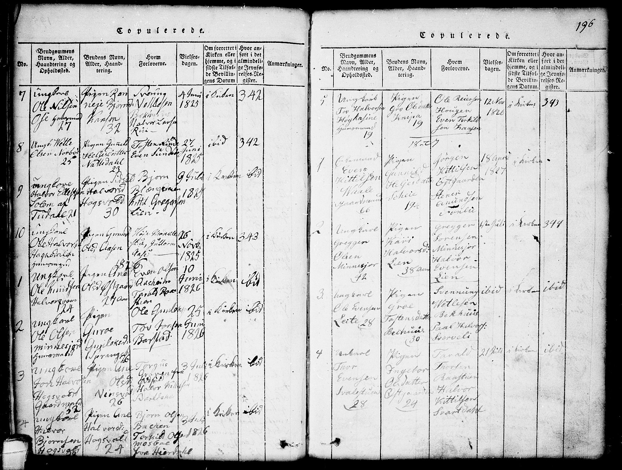 Seljord kirkebøker, SAKO/A-20/G/Gb/L0002: Parish register (copy) no. II 2, 1815-1854, p. 196