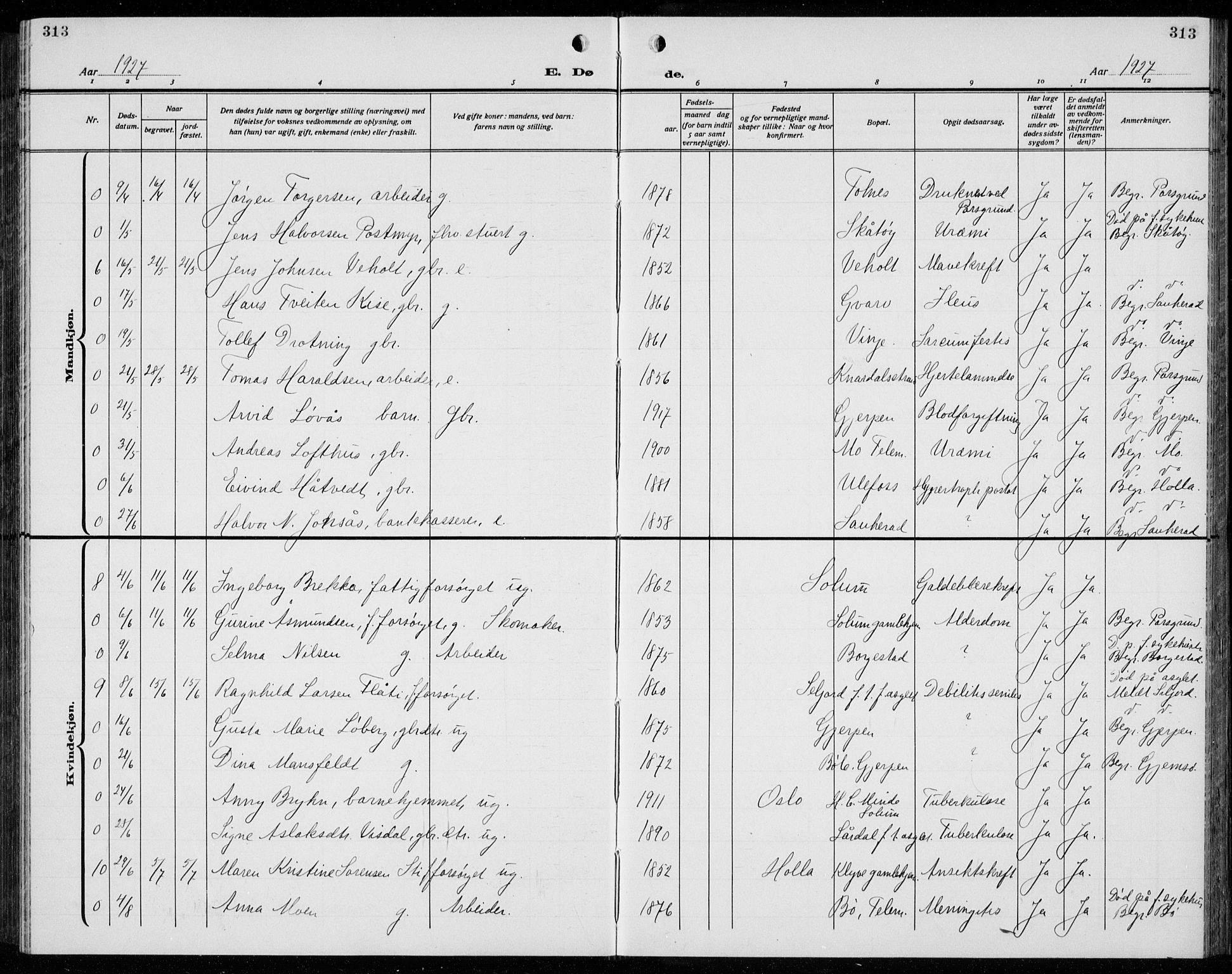 Solum kirkebøker, AV/SAKO-A-306/G/Ga/L0010: Parish register (copy) no. I 10, 1921-1937, p. 313