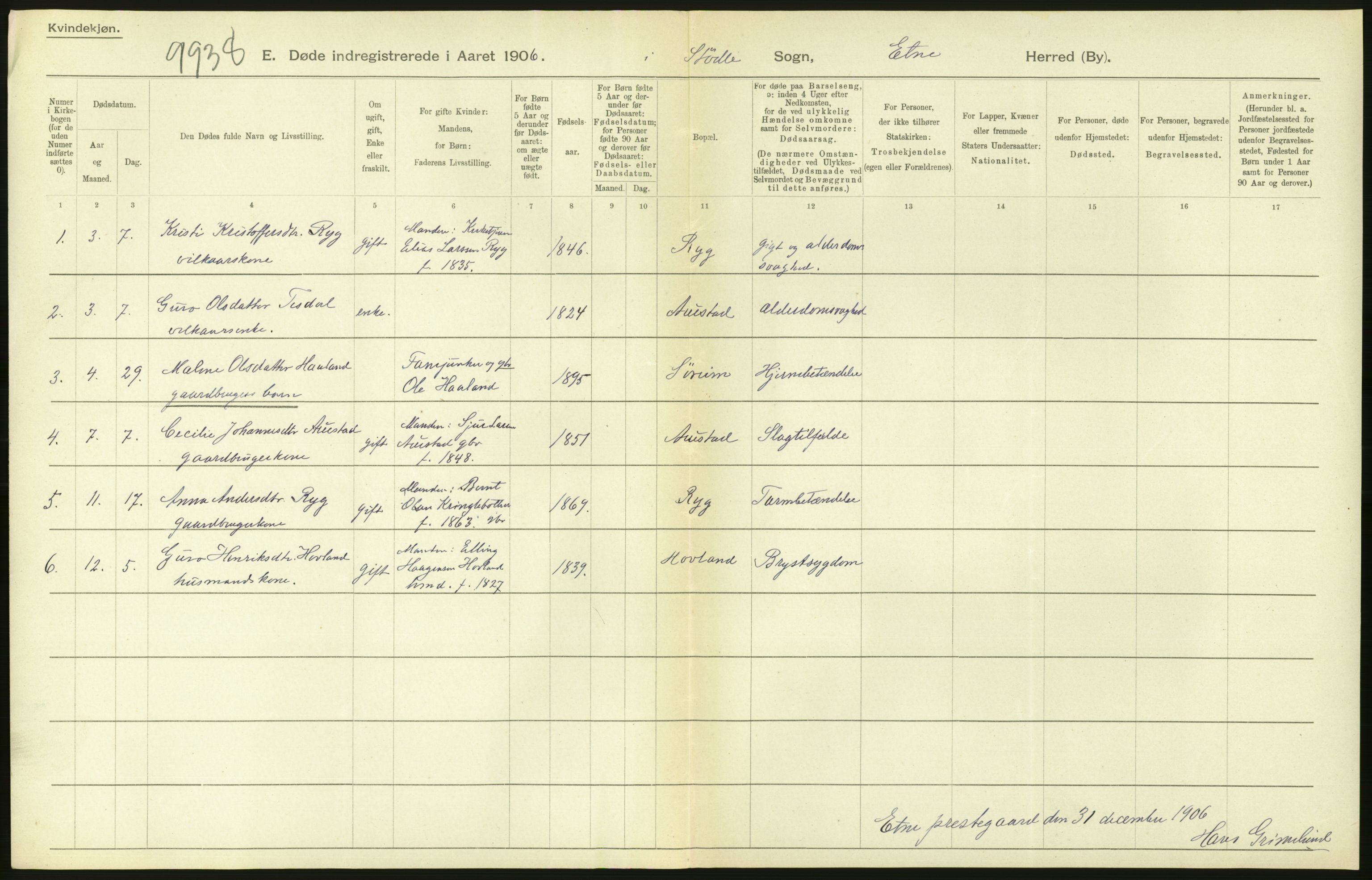 Statistisk sentralbyrå, Sosiodemografiske emner, Befolkning, AV/RA-S-2228/D/Df/Dfa/Dfad/L0030: S. Bergenhus amt: Døde. Bygder., 1906, p. 100