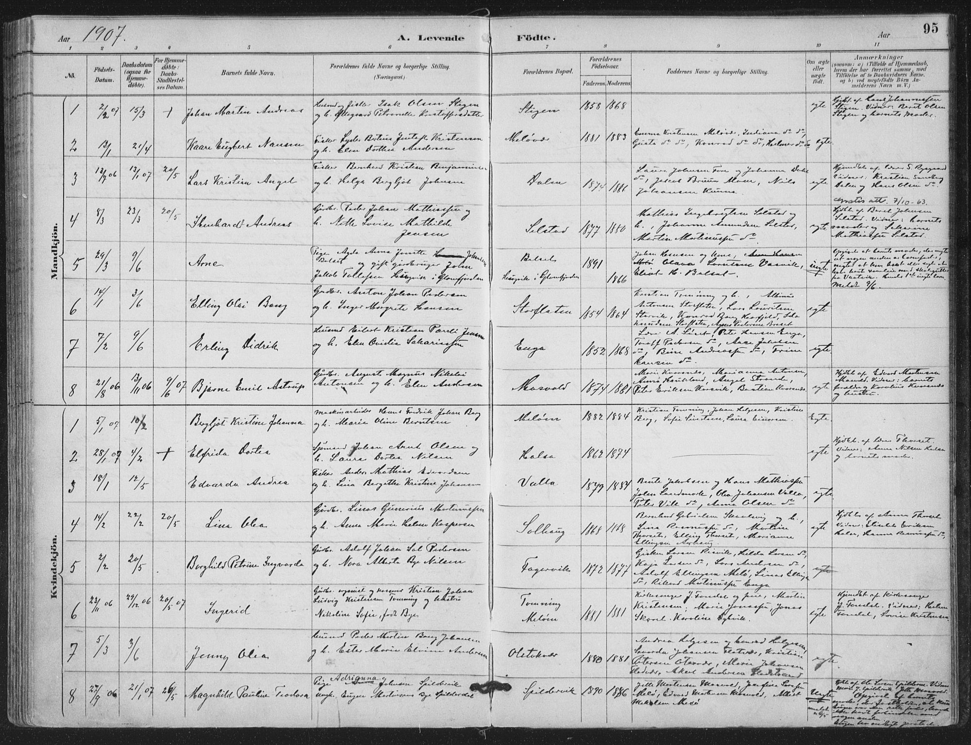 Ministerialprotokoller, klokkerbøker og fødselsregistre - Nordland, SAT/A-1459/843/L0628: Parish register (official) no. 843A03, 1889-1907, p. 95
