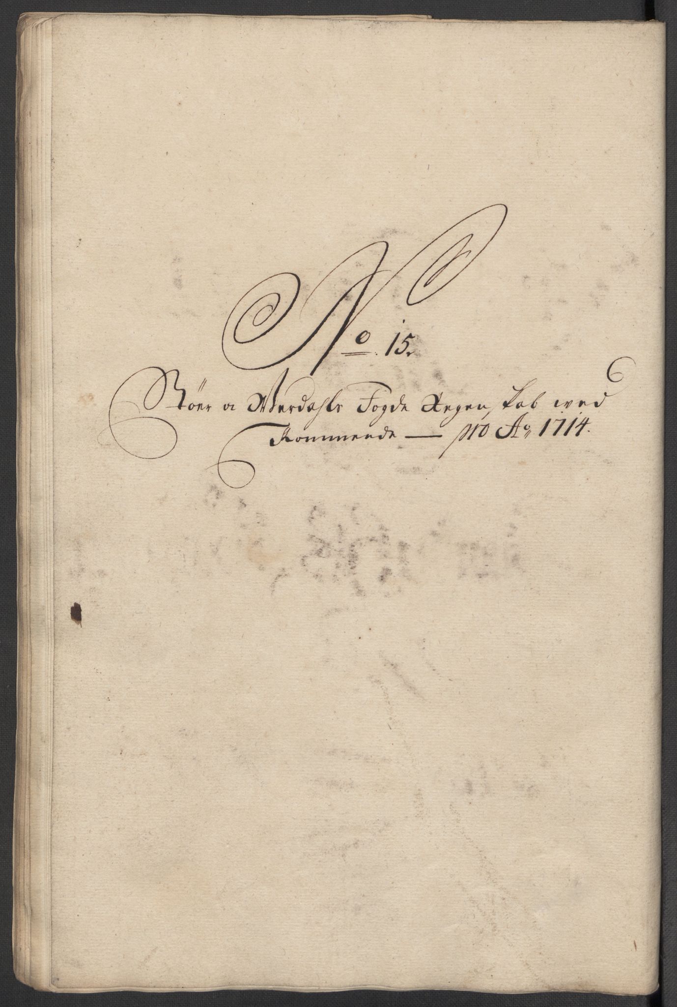Rentekammeret inntil 1814, Reviderte regnskaper, Fogderegnskap, RA/EA-4092/R62/L4204: Fogderegnskap Stjørdal og Verdal, 1714, p. 202