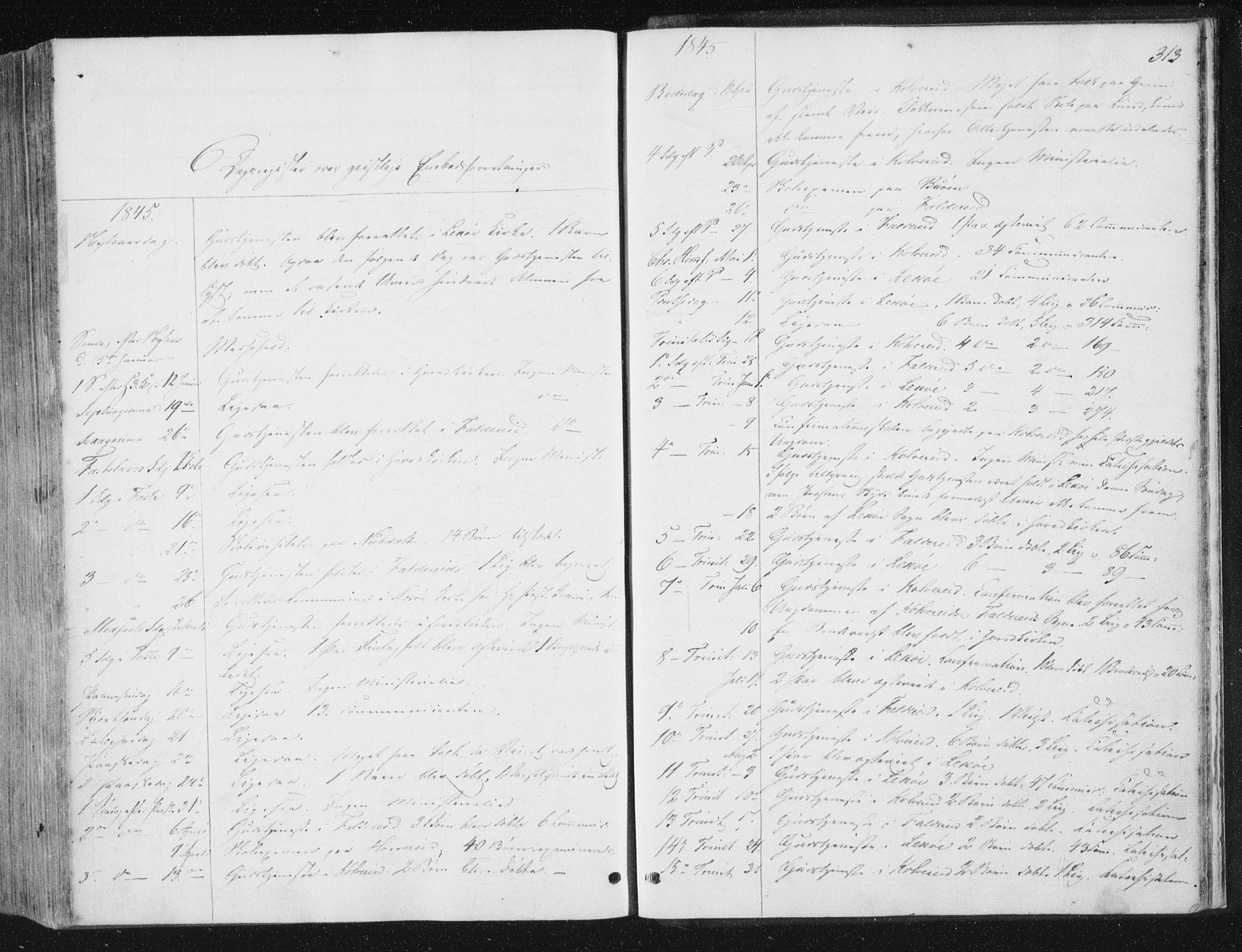 Ministerialprotokoller, klokkerbøker og fødselsregistre - Nord-Trøndelag, SAT/A-1458/780/L0640: Parish register (official) no. 780A05, 1845-1856, p. 313
