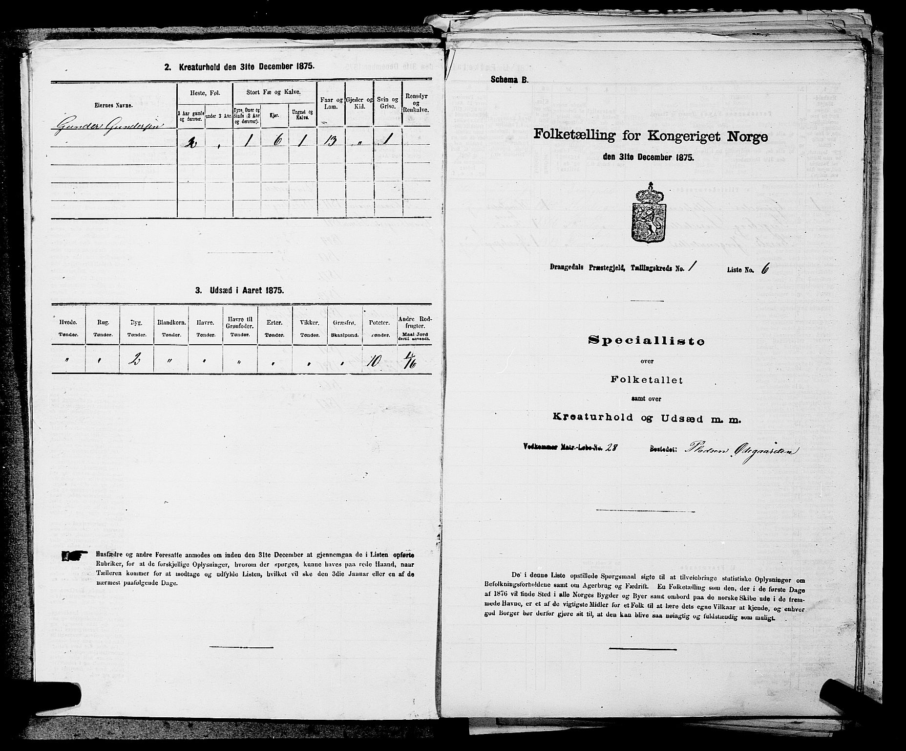 SAKO, 1875 census for 0817P Drangedal, 1875, p. 62