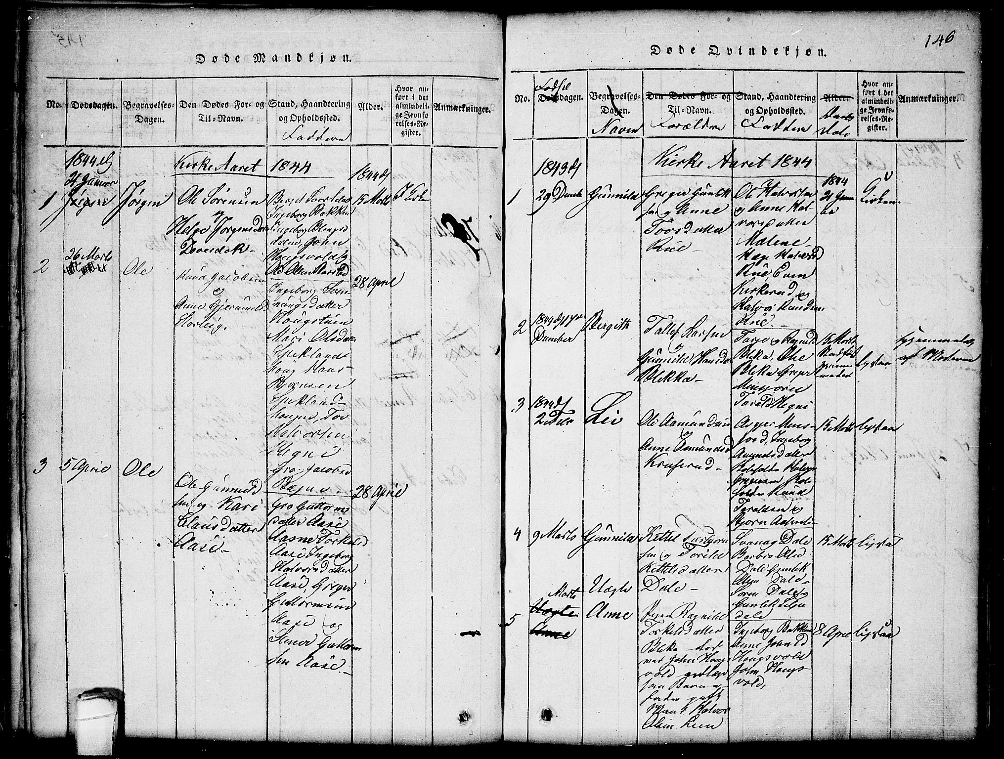 Seljord kirkebøker, SAKO/A-20/G/Gb/L0002: Parish register (copy) no. II 2, 1815-1854, p. 146