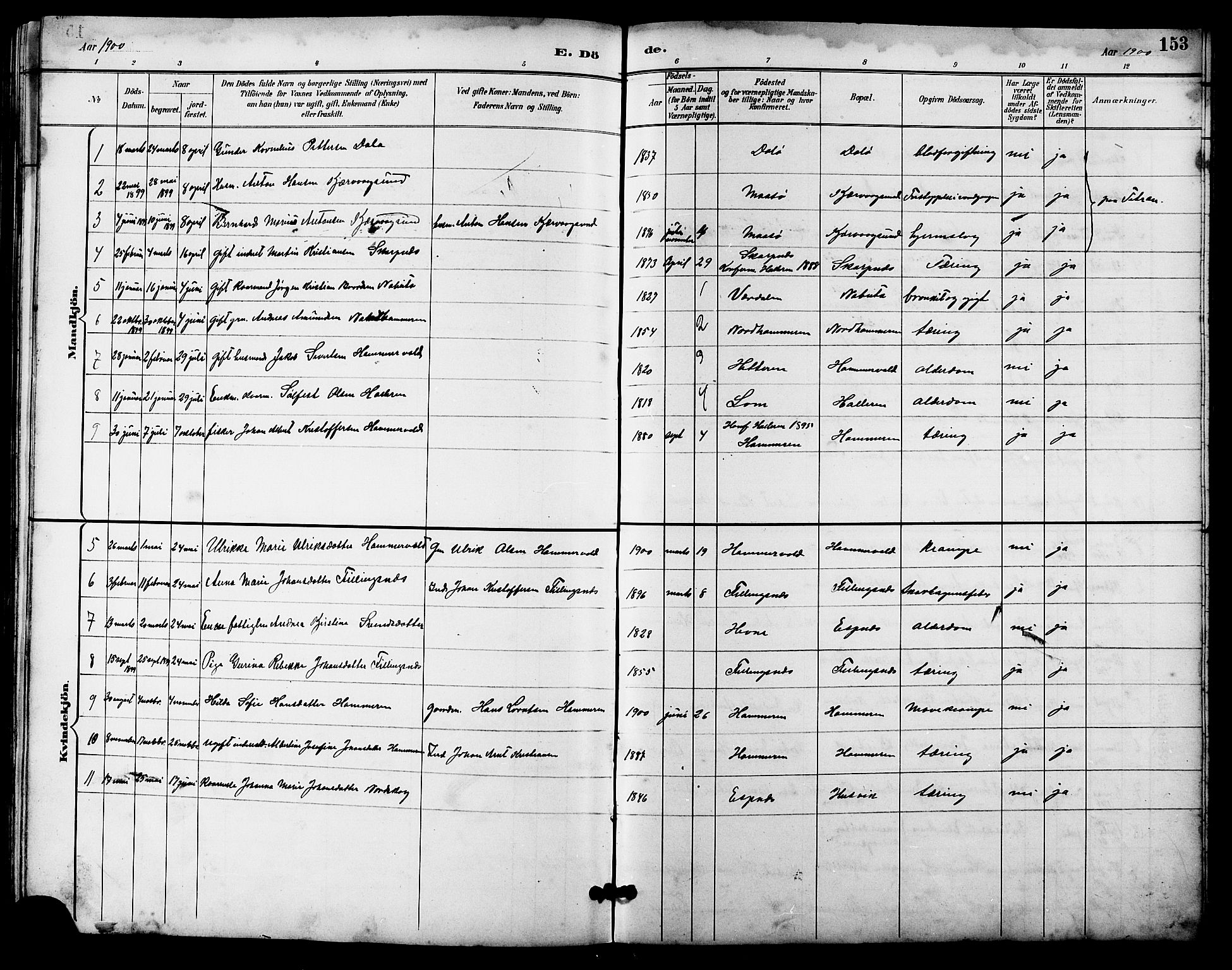 Ministerialprotokoller, klokkerbøker og fødselsregistre - Sør-Trøndelag, SAT/A-1456/641/L0598: Parish register (copy) no. 641C02, 1893-1910, p. 153